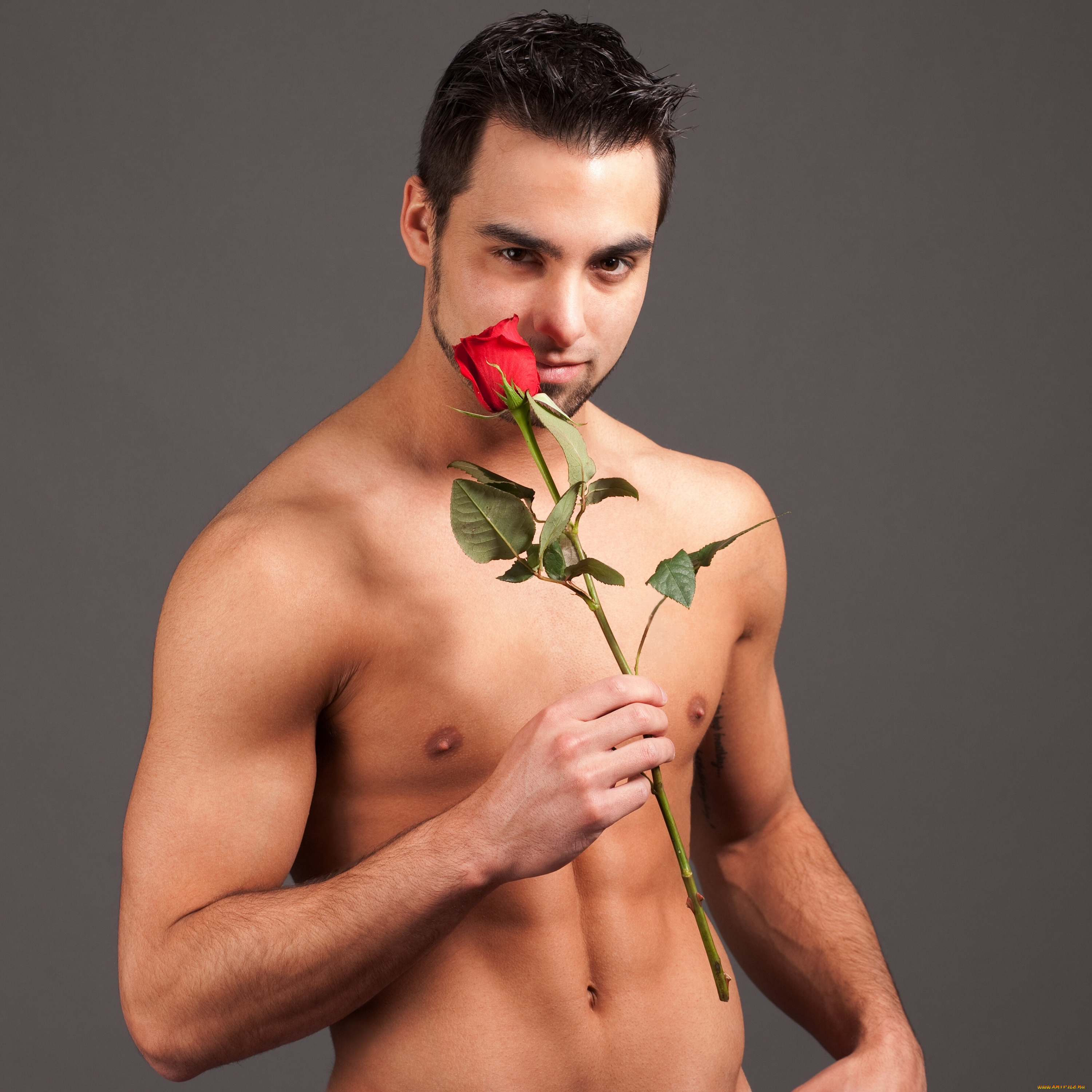 мужчины, -, unsort, тело, торс, цветок, роза