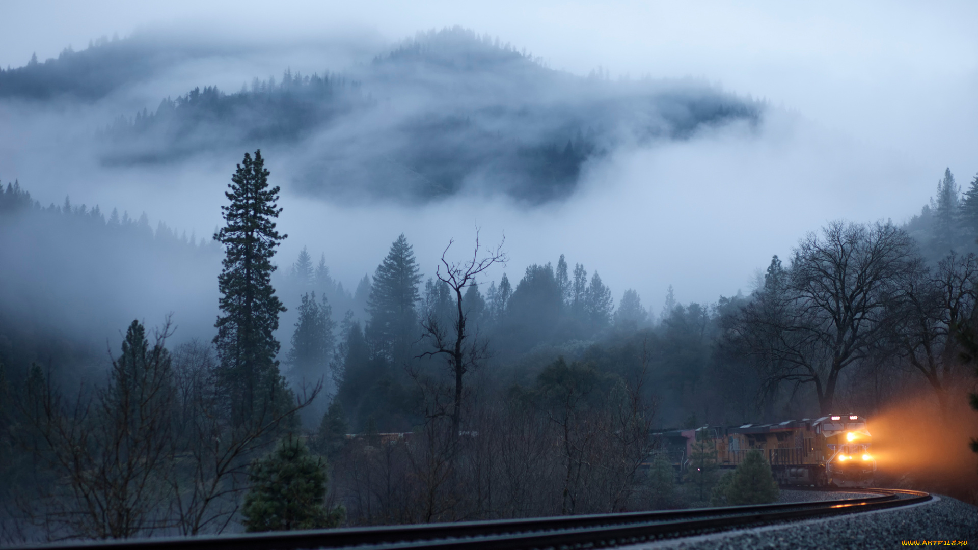 техника, поезда, туман, поезд, лес, горы