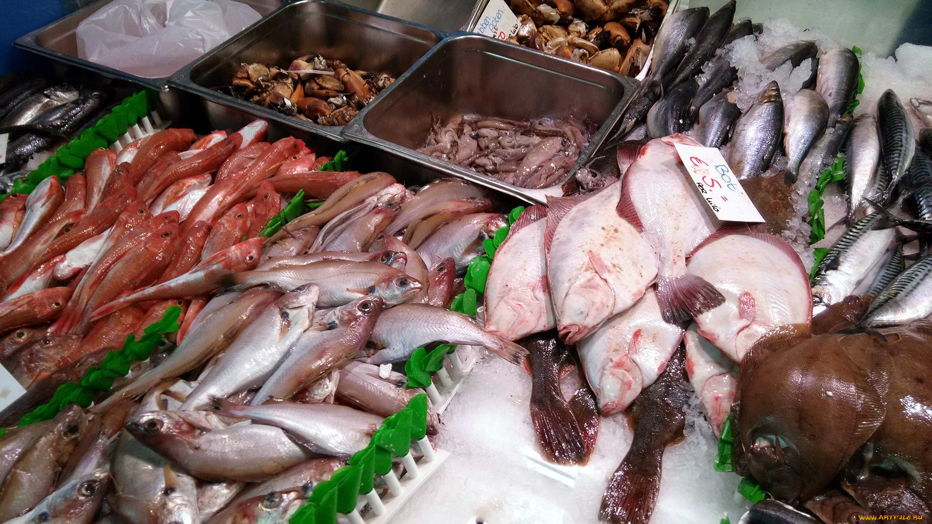 еда, рыба, , морепродукты, , суши, , роллы, свежая, кальмары, лед
