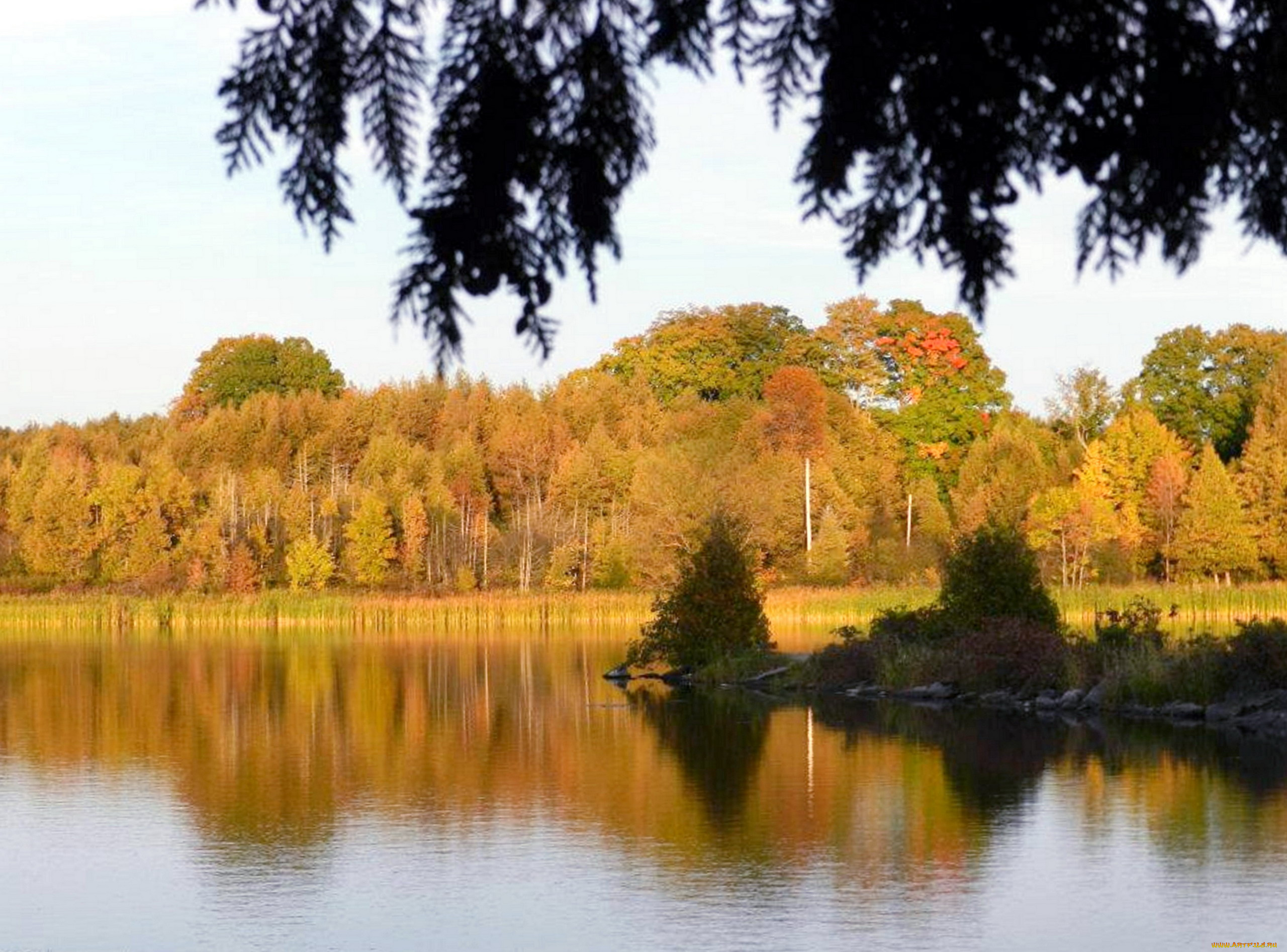 природа, реки, озера, деревья, осень