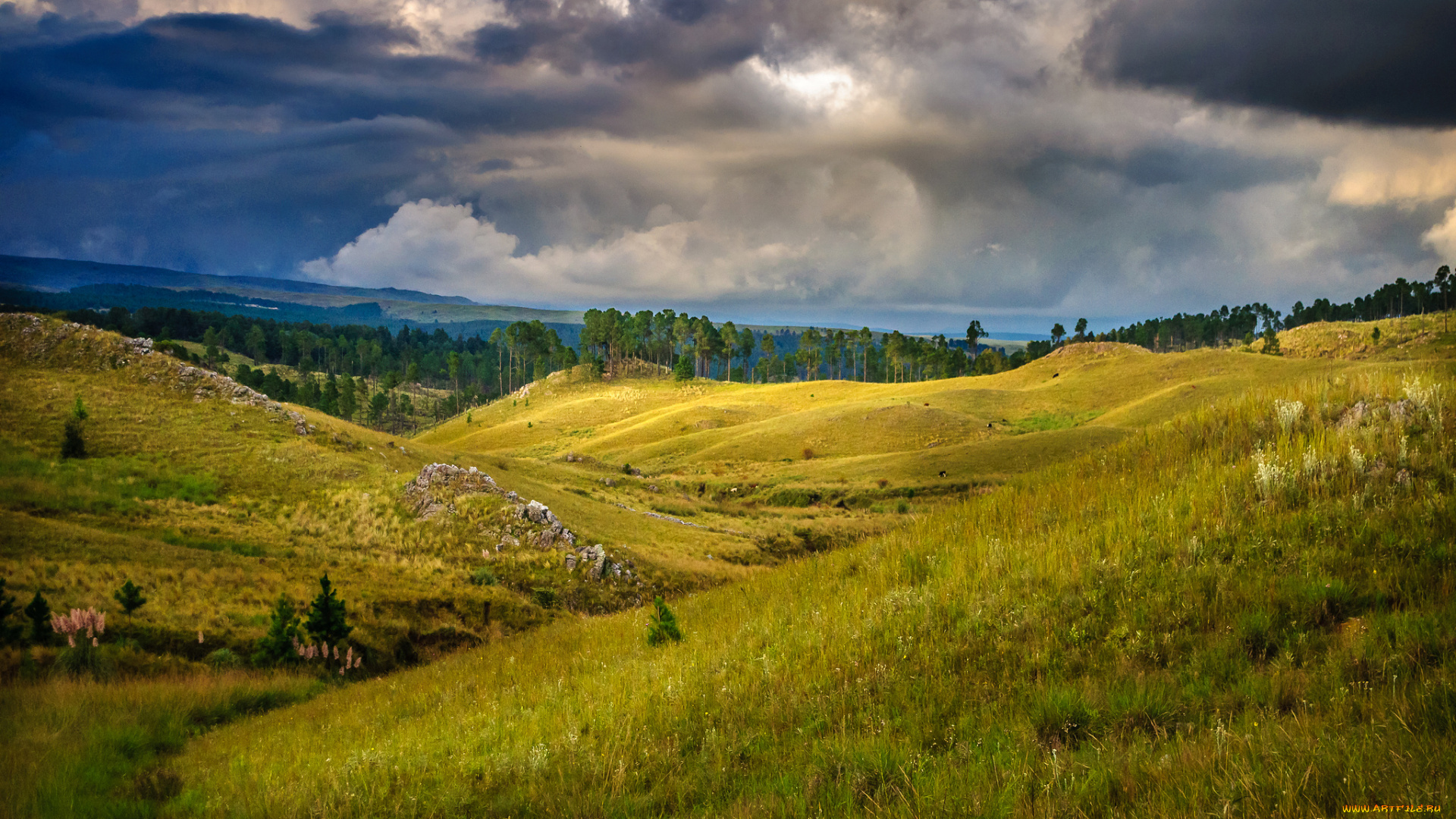 природа, пейзажи, простор