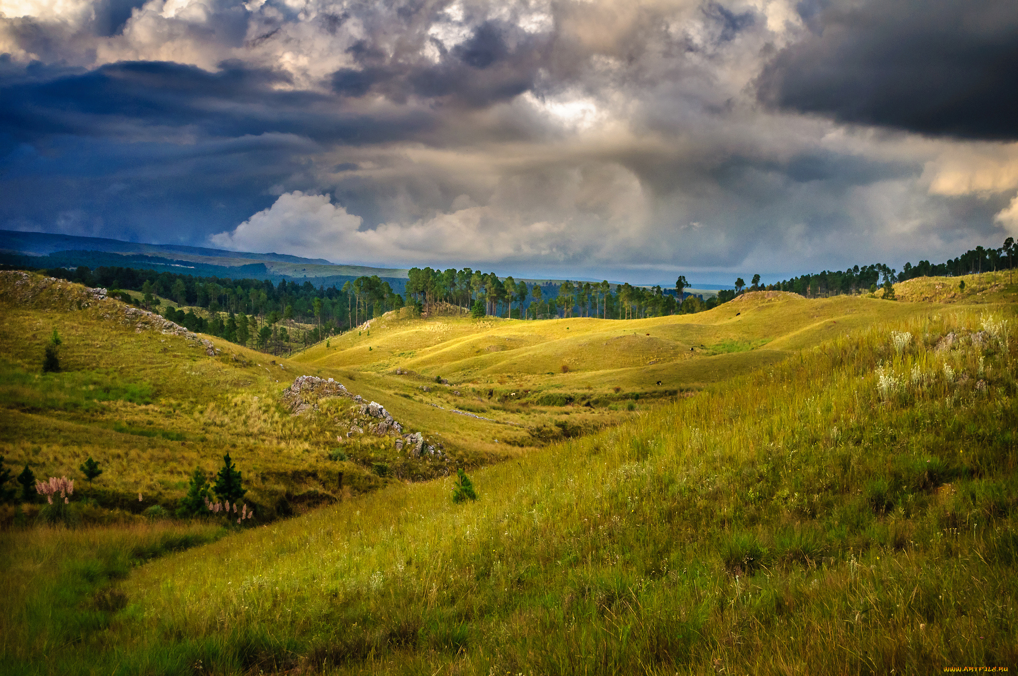 природа, пейзажи, простор