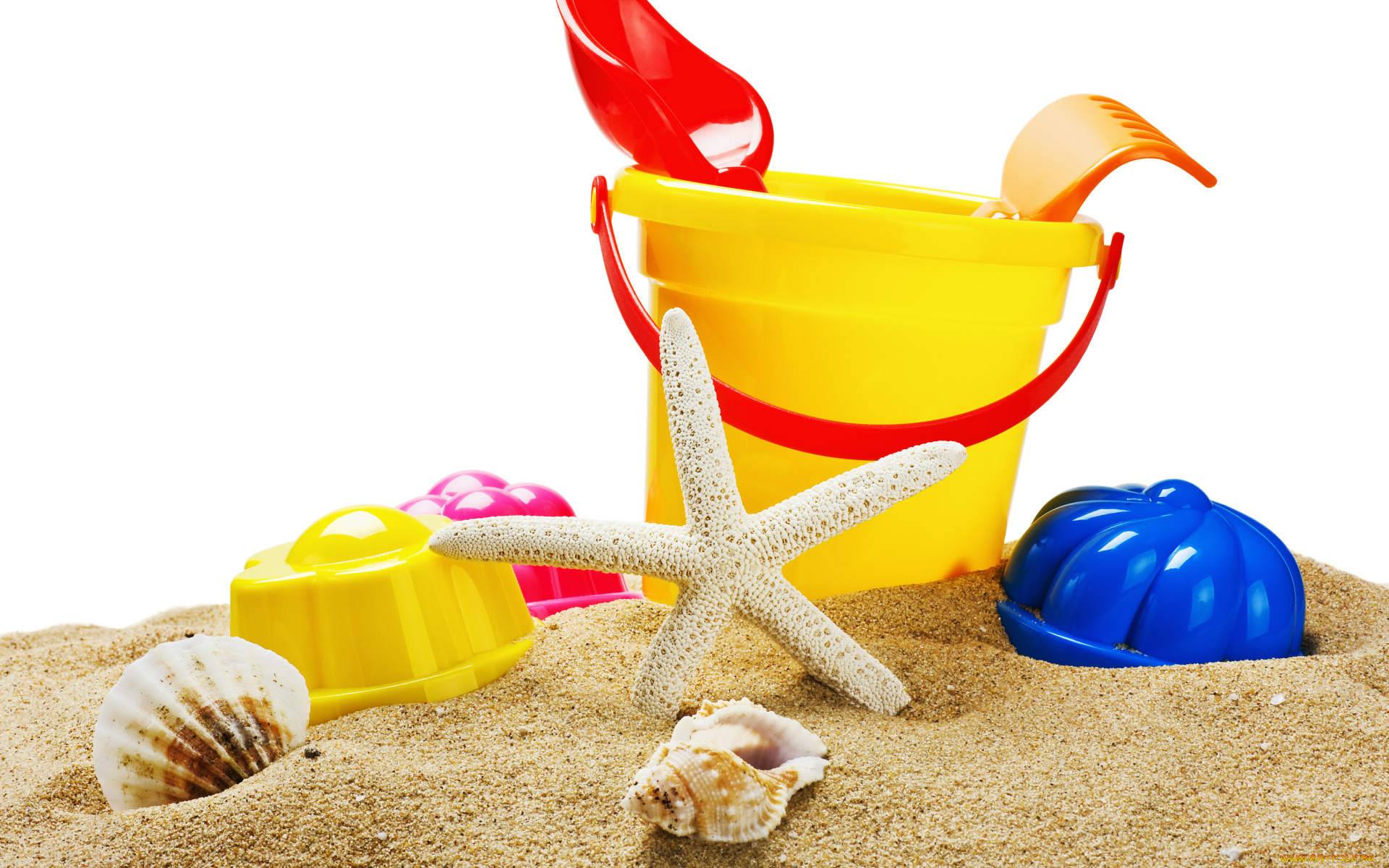 разное, игрушки, песок, ведро, ракушки, звезда