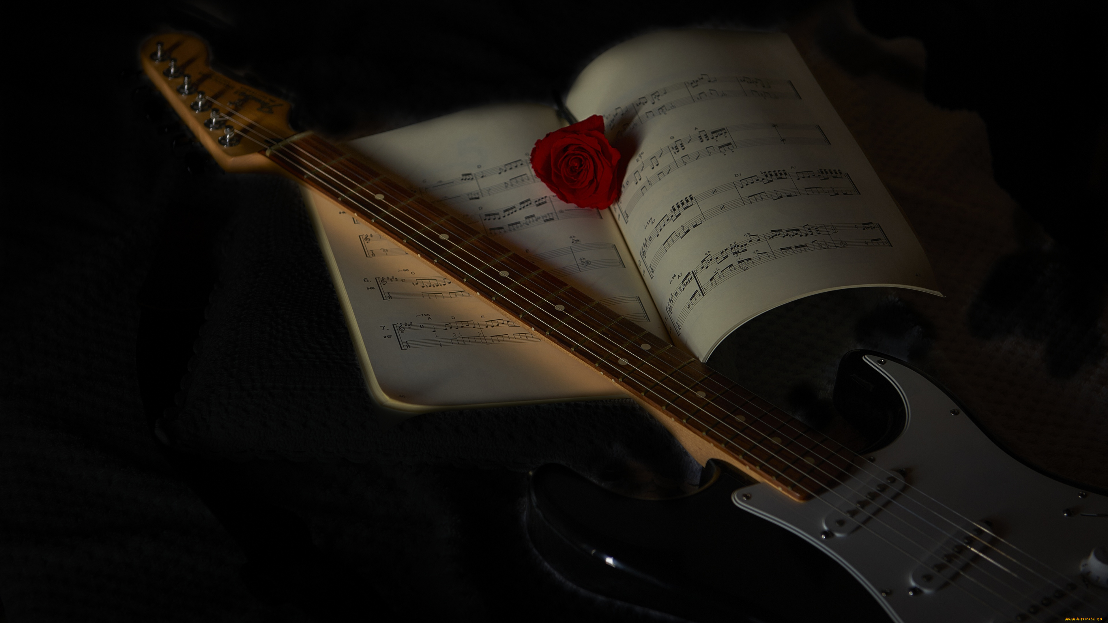 музыка, -музыкальные, инструменты, ноты, роза, гитара, черный, фон
