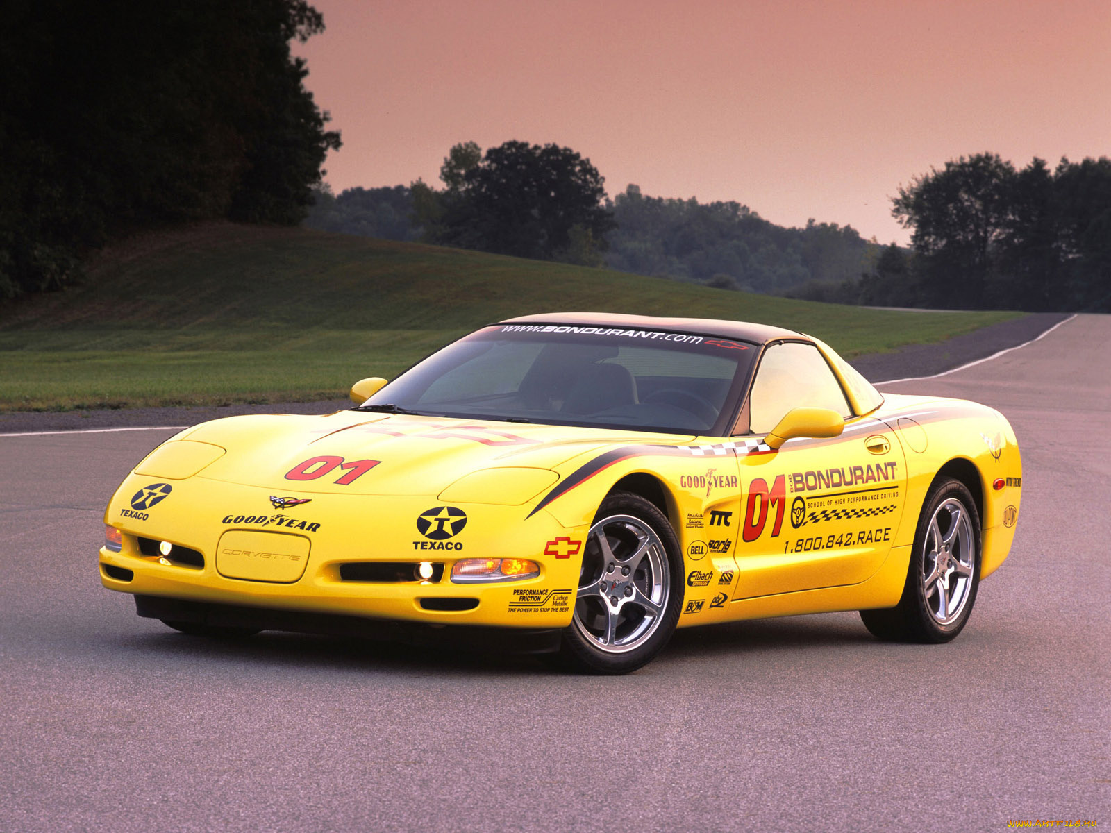 Chevrolet Corvette Race car