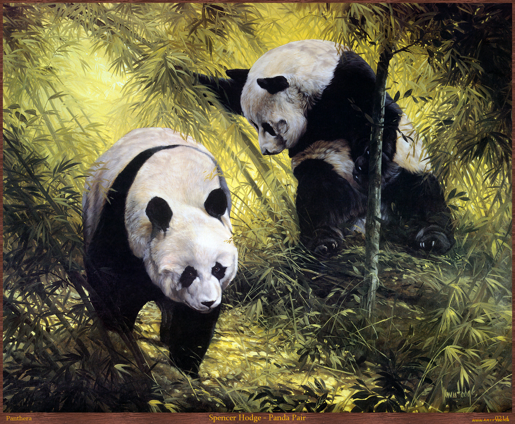 spencer, hodge, panda, pair, рисованные, парочка, панды, лес, бамбук