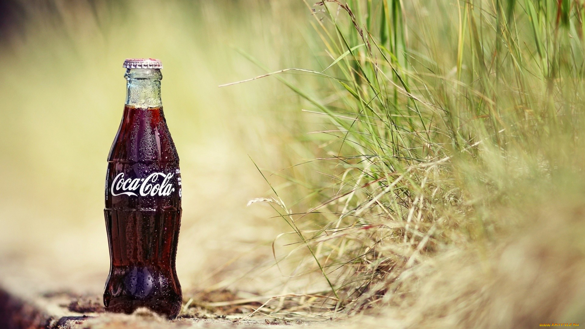 бренды, coca, cola, трава, бутылка