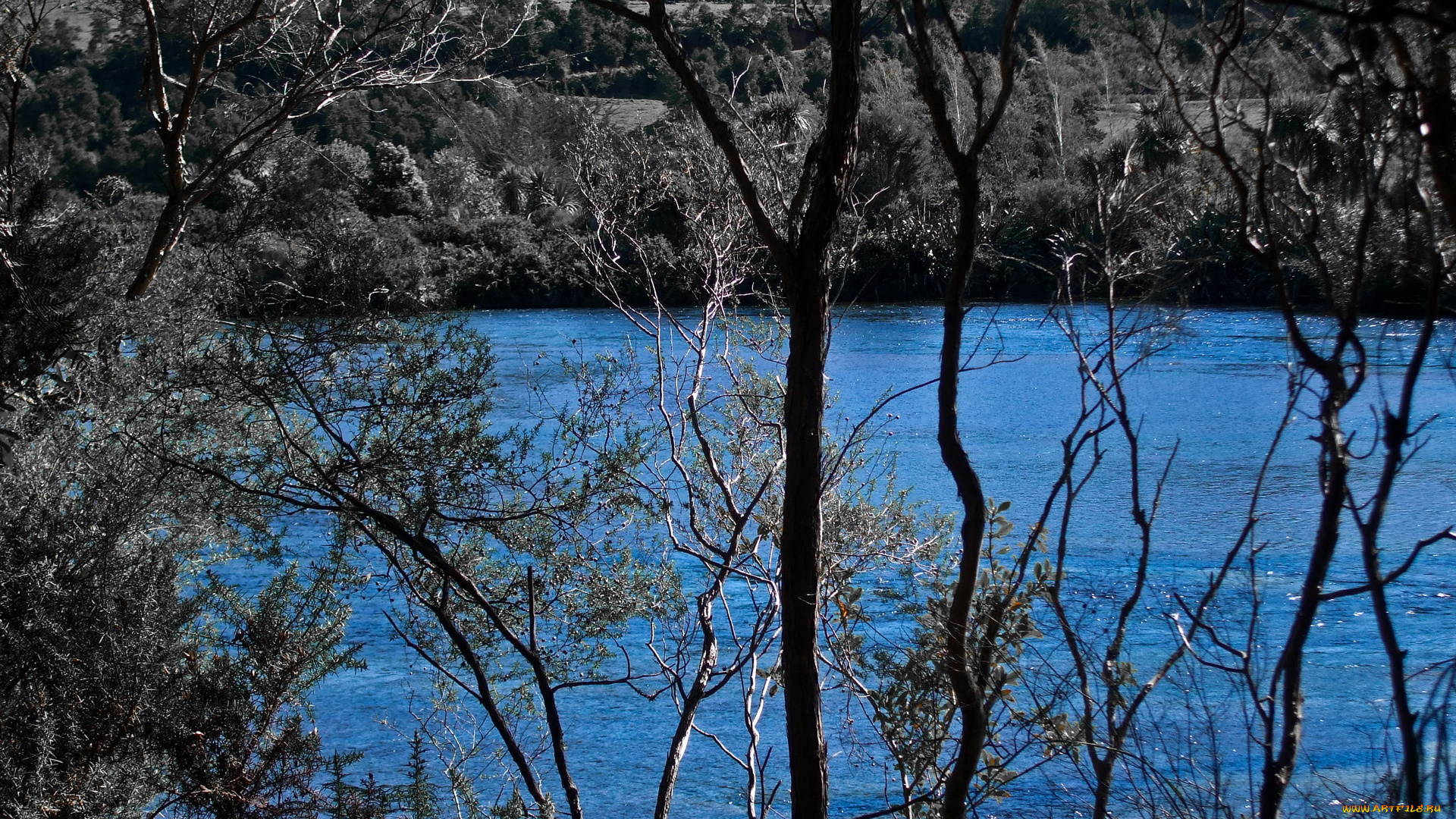 природа, реки, озера, wainui, falls, tasman, national, park, new, zealand