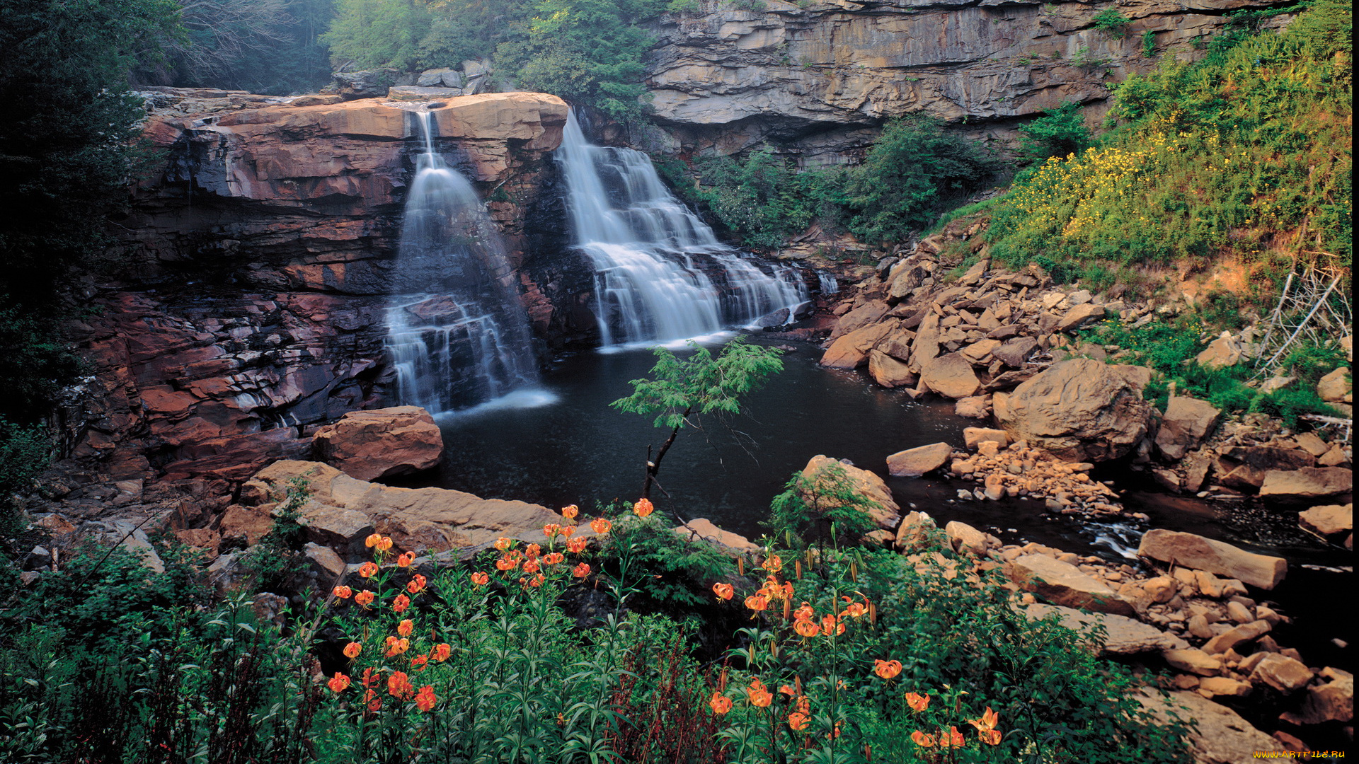 природа, водопады, ricketts, glen, state, park, pennsylvania