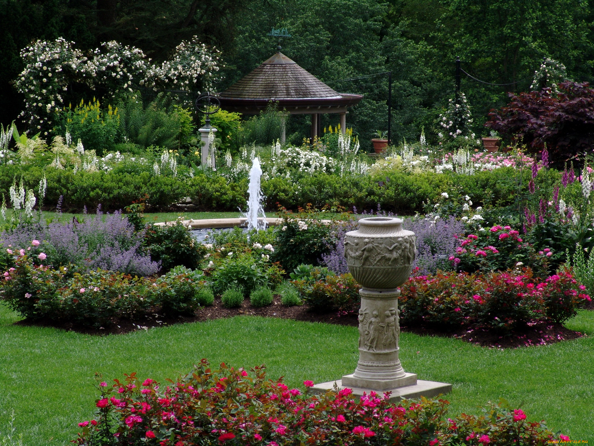 природа, парк, rose, garden, of, the, morris, arboretum, pennsylvania, usa