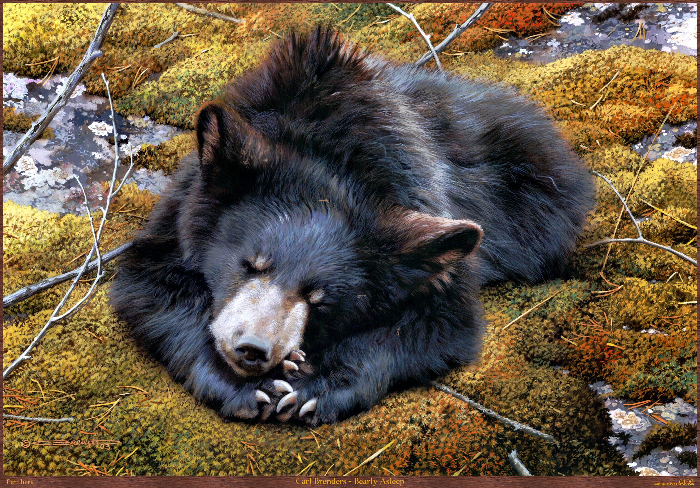 carl, brenders, bearly, asleep, рисованные, мох, сон, медведь