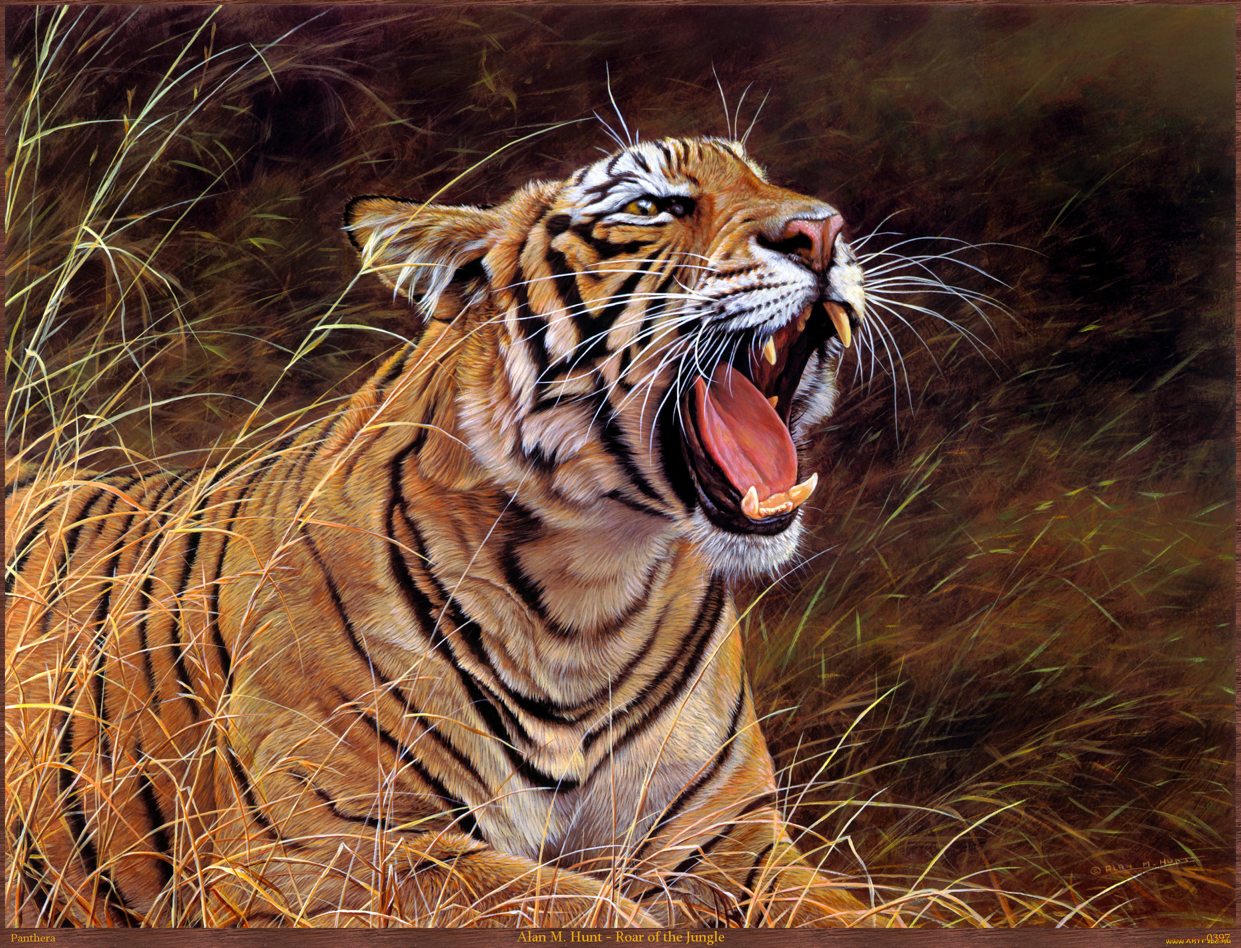 alan, hunt, roar, of, the, jungle, рисованные, m, тигр, пасть, трава, хищник