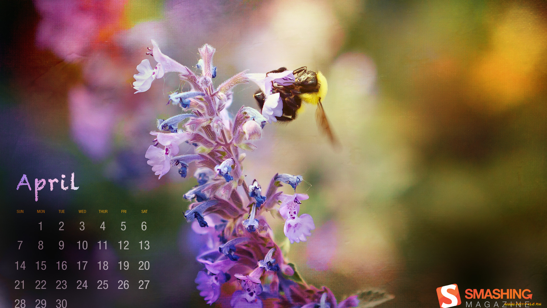 календари, цветы, цветок, пчела