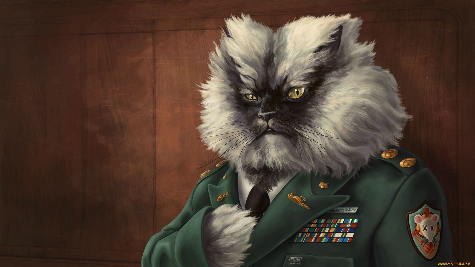 рисованные, животные, коты, военный