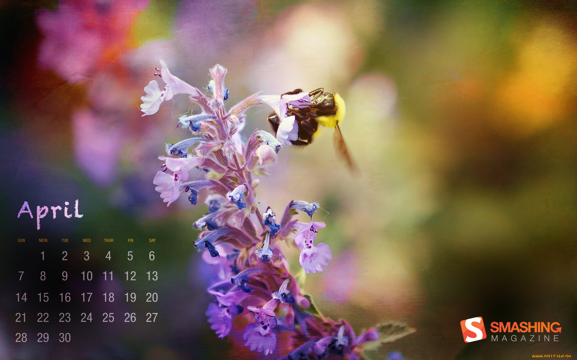 календари, цветы, цветок, пчела