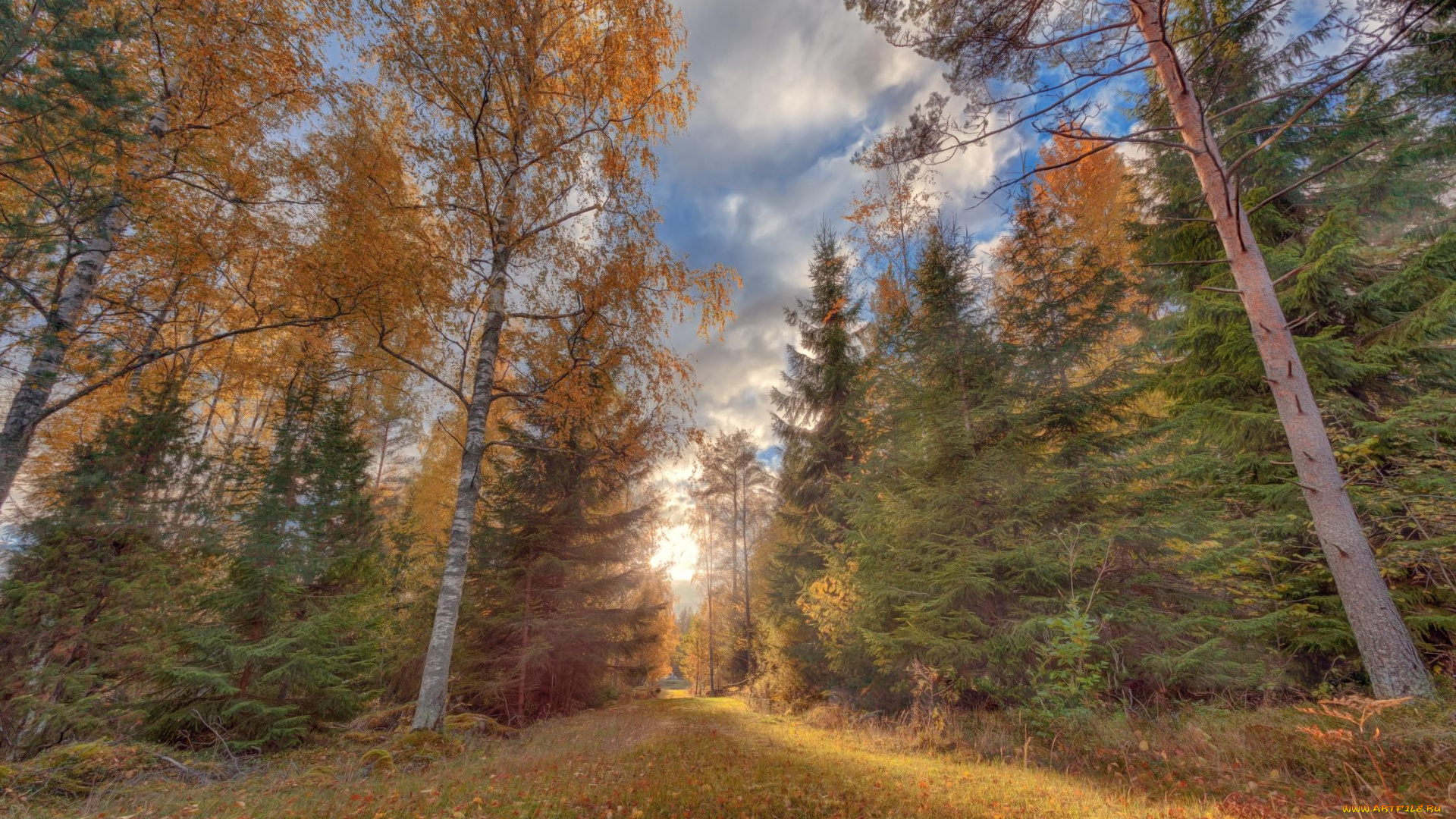природа, дороги, лес, осень, пейзаж, дорога, деревья