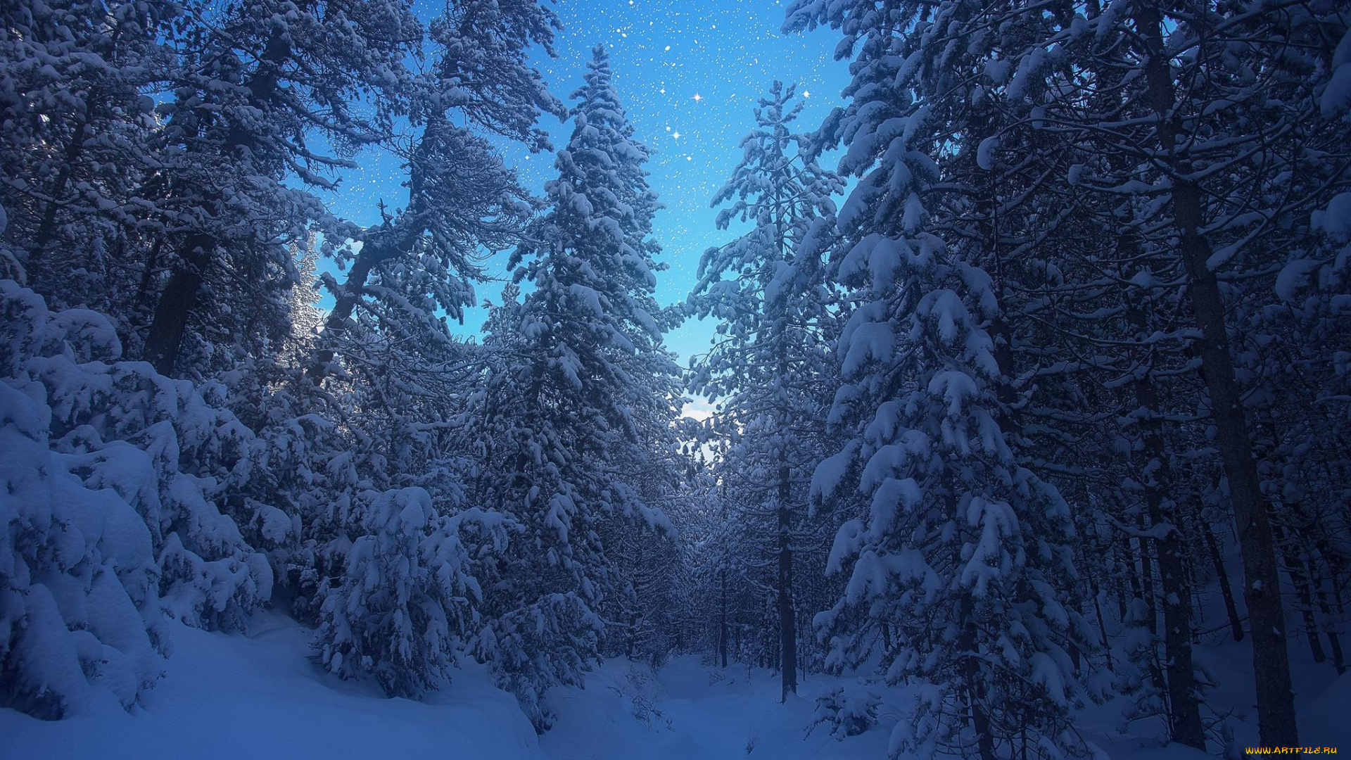 природа, лес, зима, снег, деревья, пейзаж