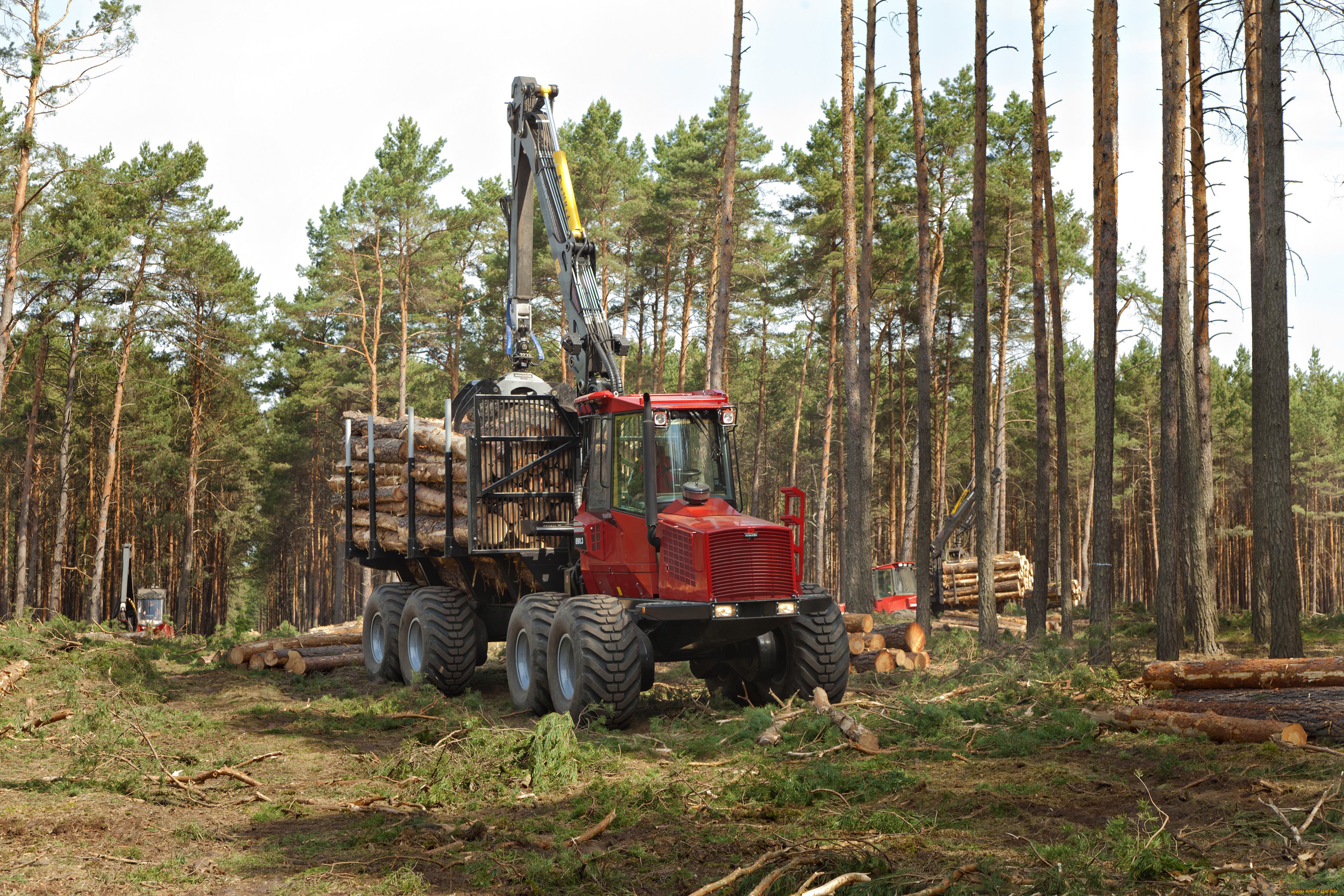 техника, лесоповалочная, техника, komatsu