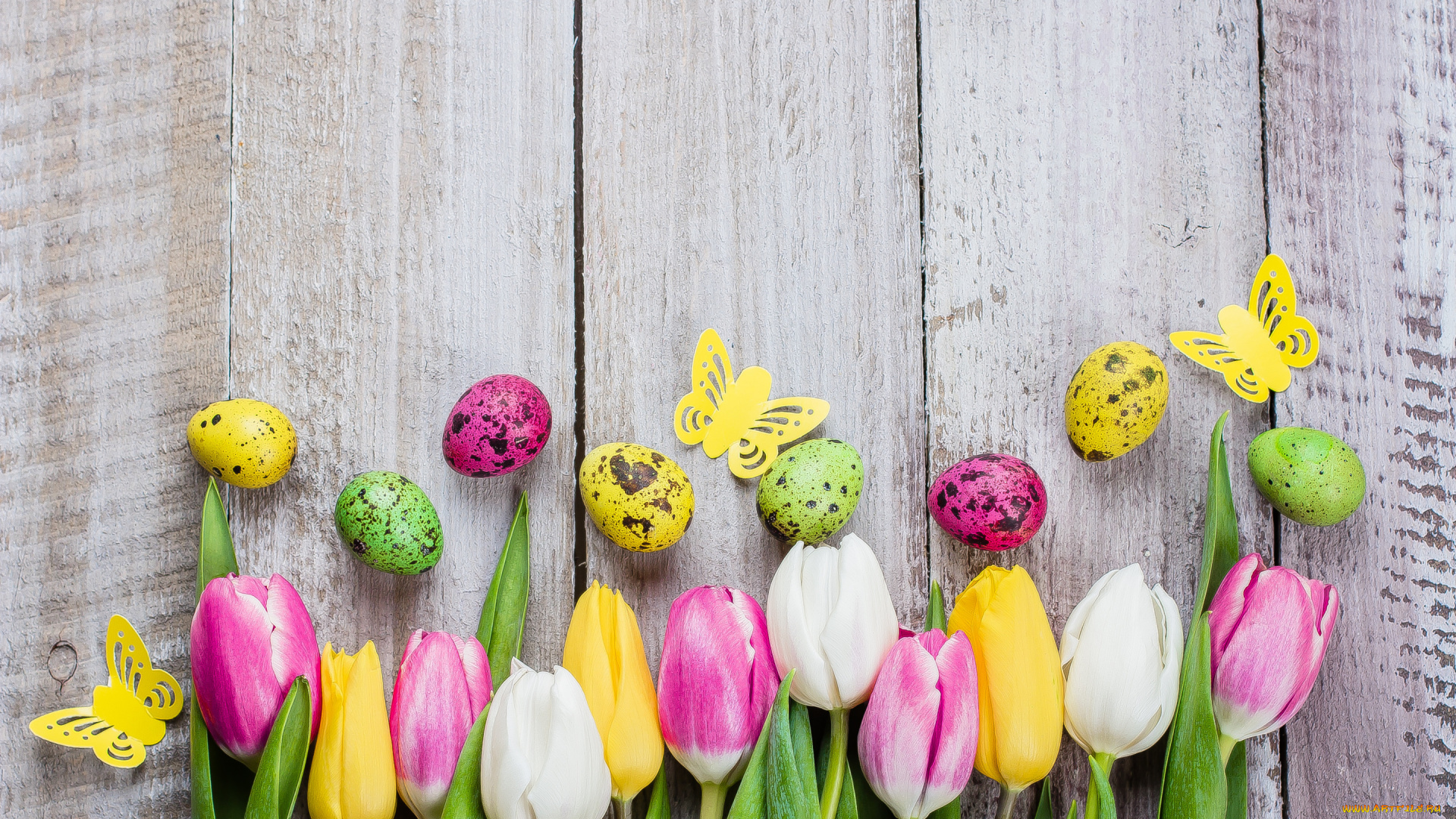 праздничные, пасха, цветы, яйца, colorful, тюльпаны, happy, pink, flowers, tulips, easter, eggs