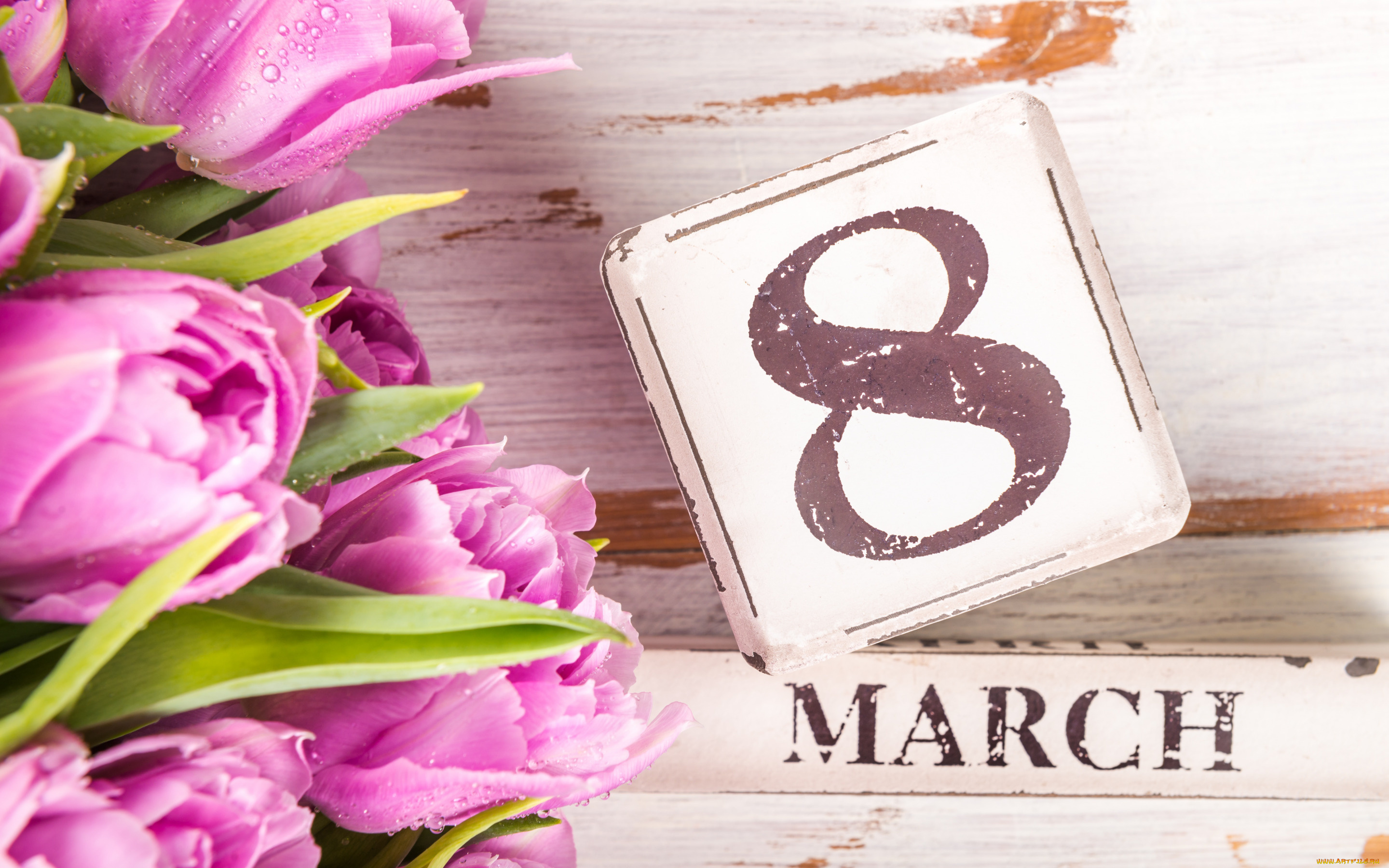 праздничные, международный, женский, день, -, 8, марта, цветы, тюльпаны, розовые, 8, марта, pink, tulips, march