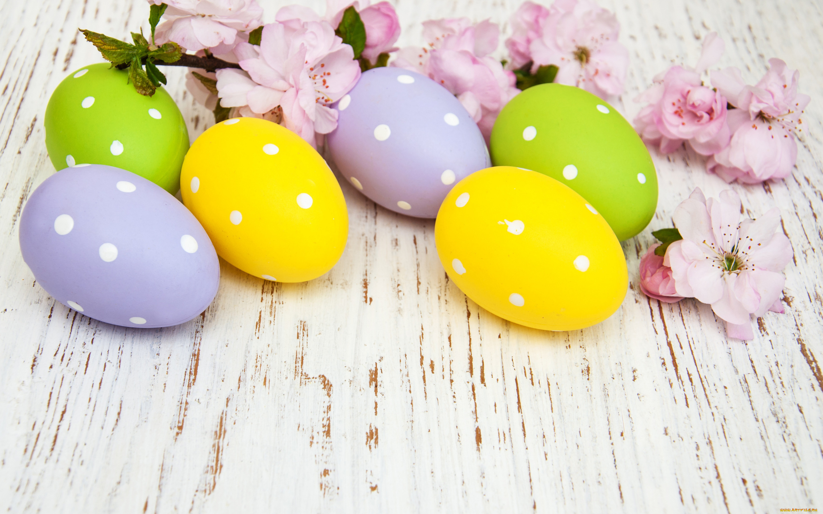праздничные, пасха, цветы, яйца, colorful, happy, wood, blossom, flowers, spring, easter, eggs, decoration