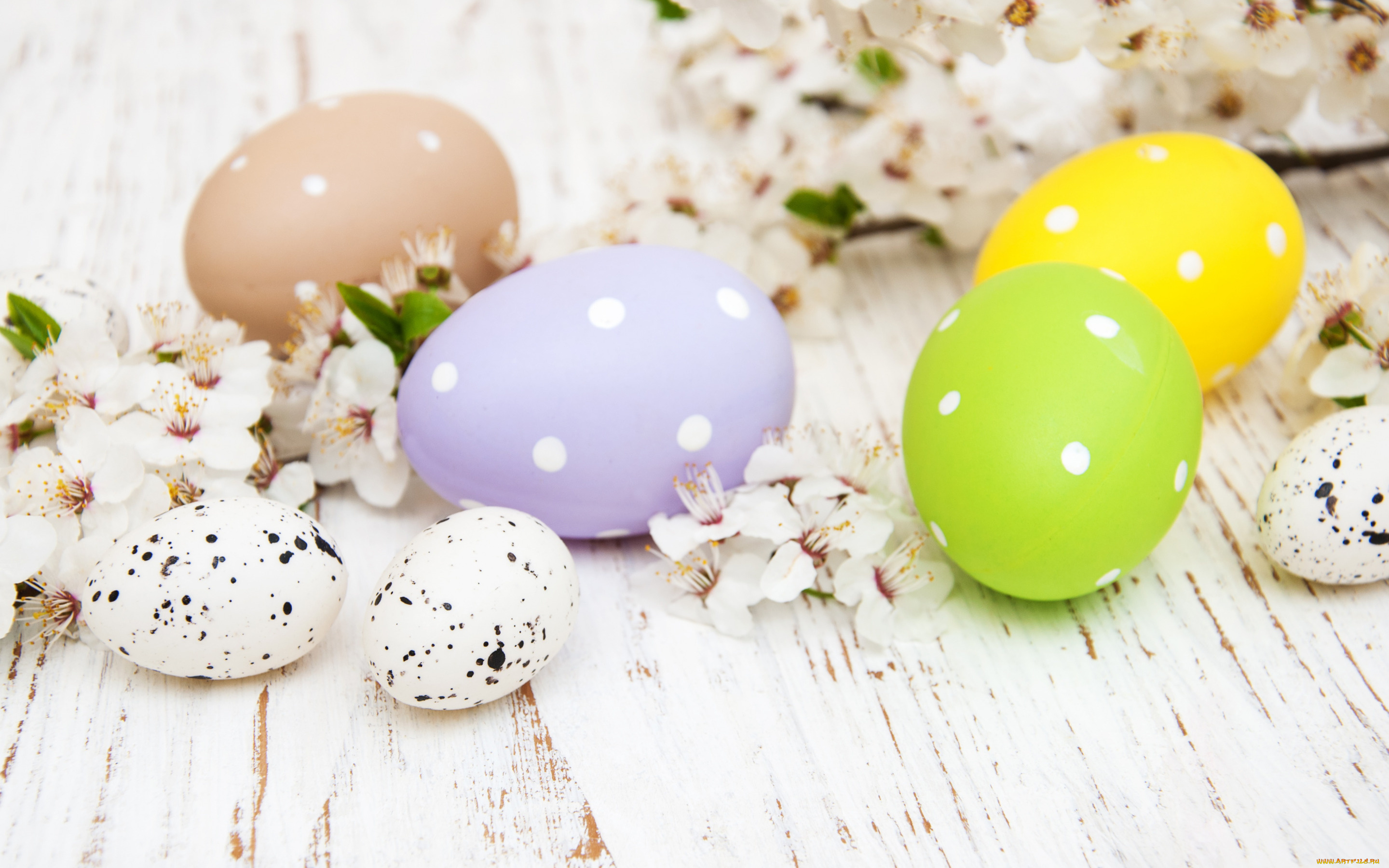 праздничные, пасха, цветы, яйца, colorful, happy, wood, blossom, flowers, spring, easter, eggs, decoration