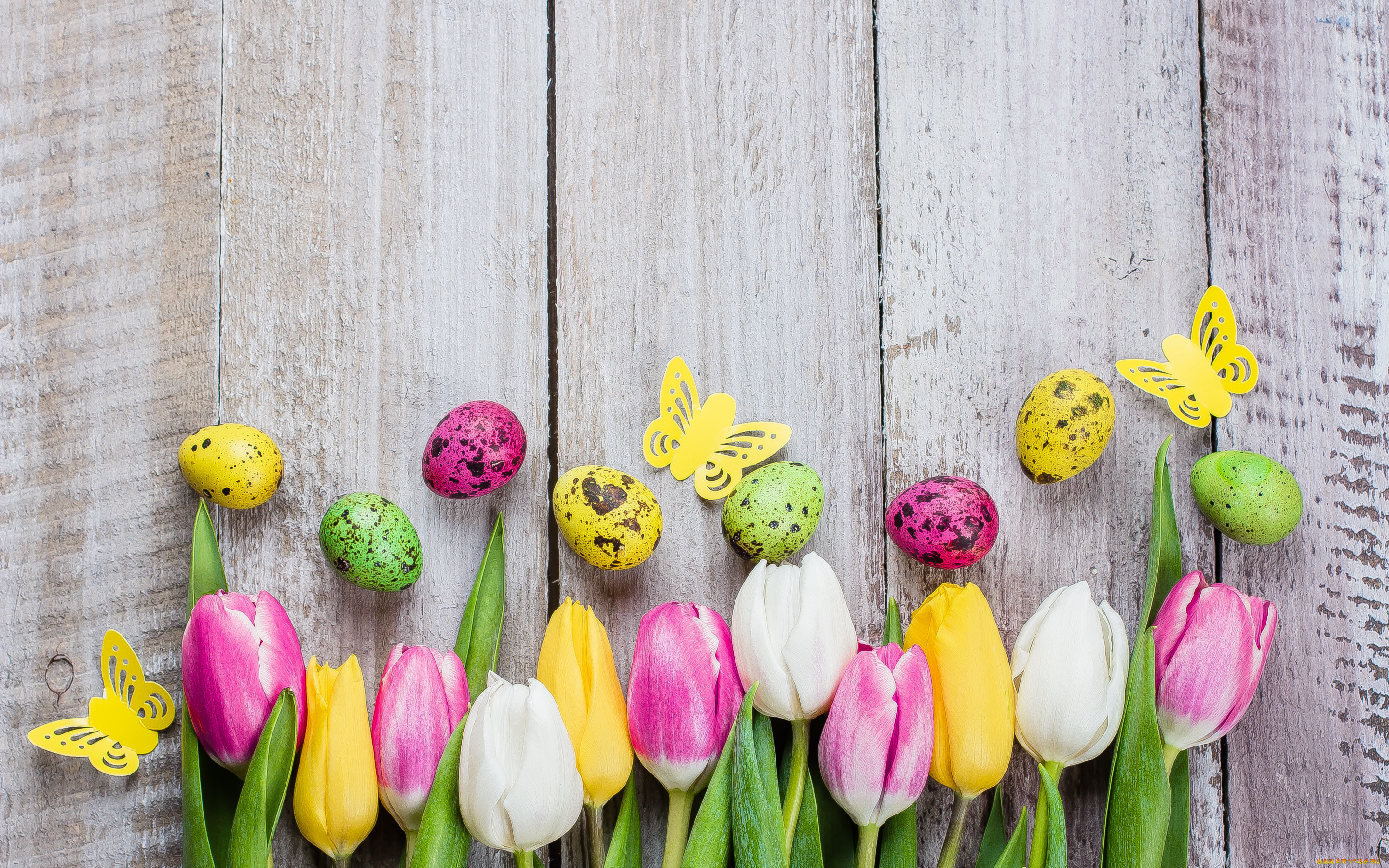 праздничные, пасха, цветы, яйца, colorful, тюльпаны, happy, pink, flowers, tulips, easter, eggs