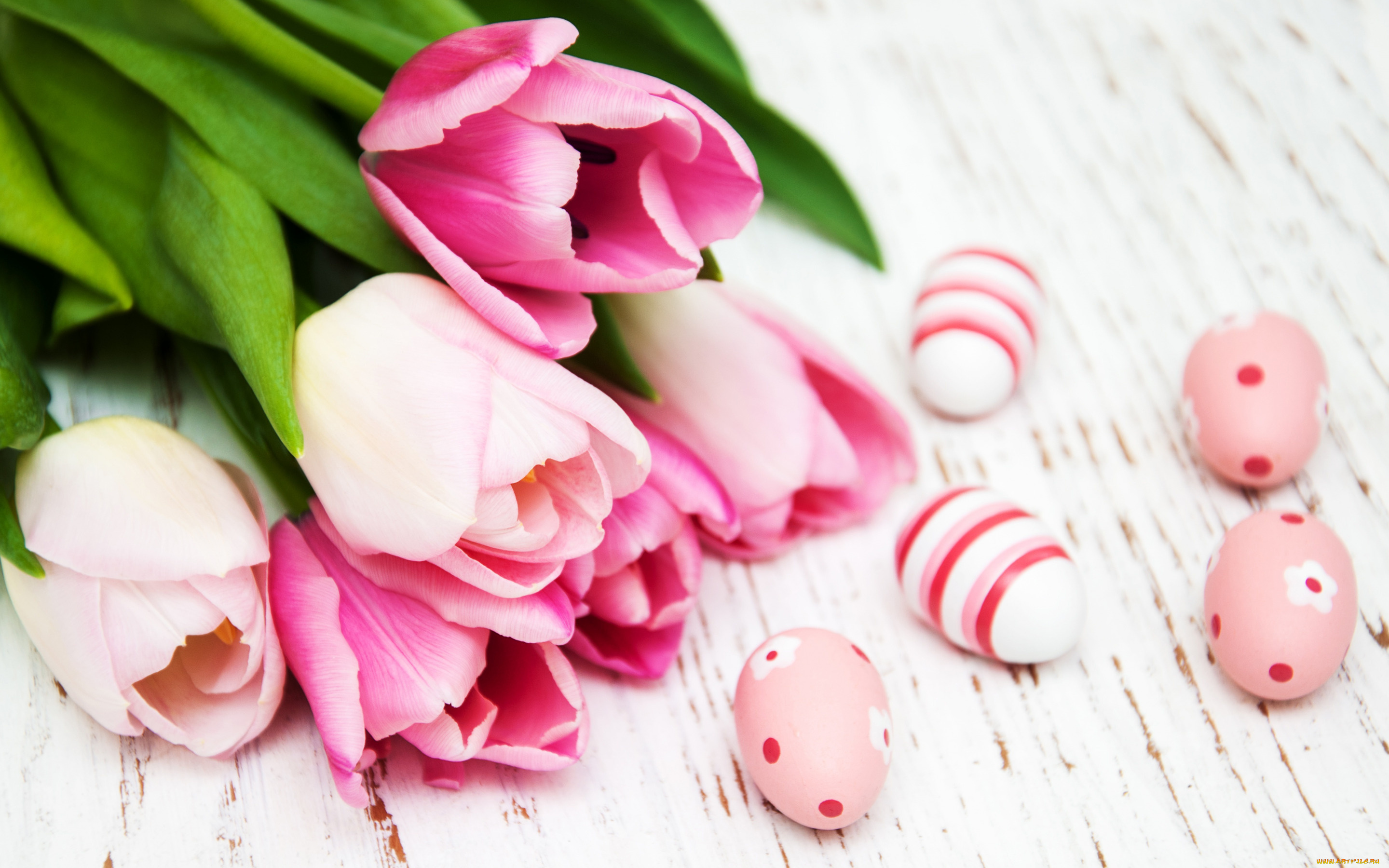 праздничные, пасха, цветы, яйца, тюльпаны, happy, wood, pink, flowers, tulips, easter, eggs, decoration