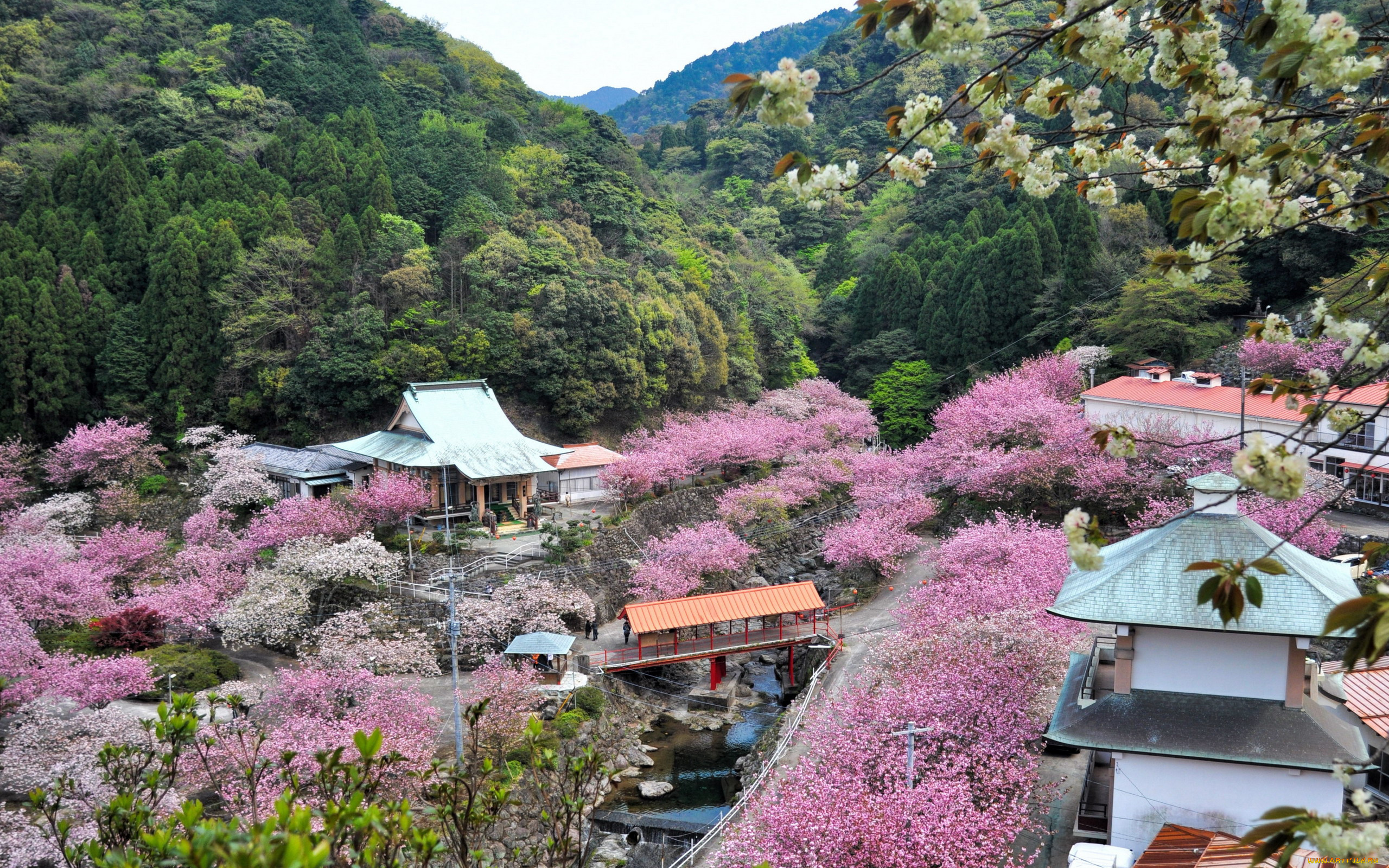 oita, kyushu, island, japan, города, -, пейзажи, kyushu, island