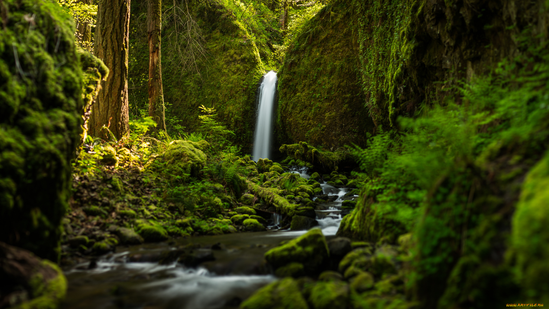 ruckel, creek, falls, природа, водопады, речка, лес, oregon