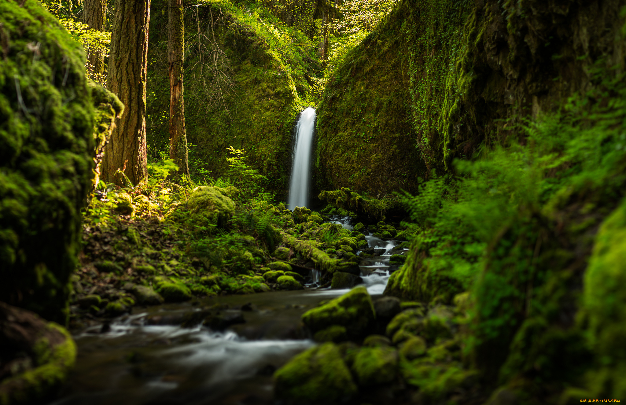 ruckel, creek, falls, природа, водопады, речка, лес, oregon