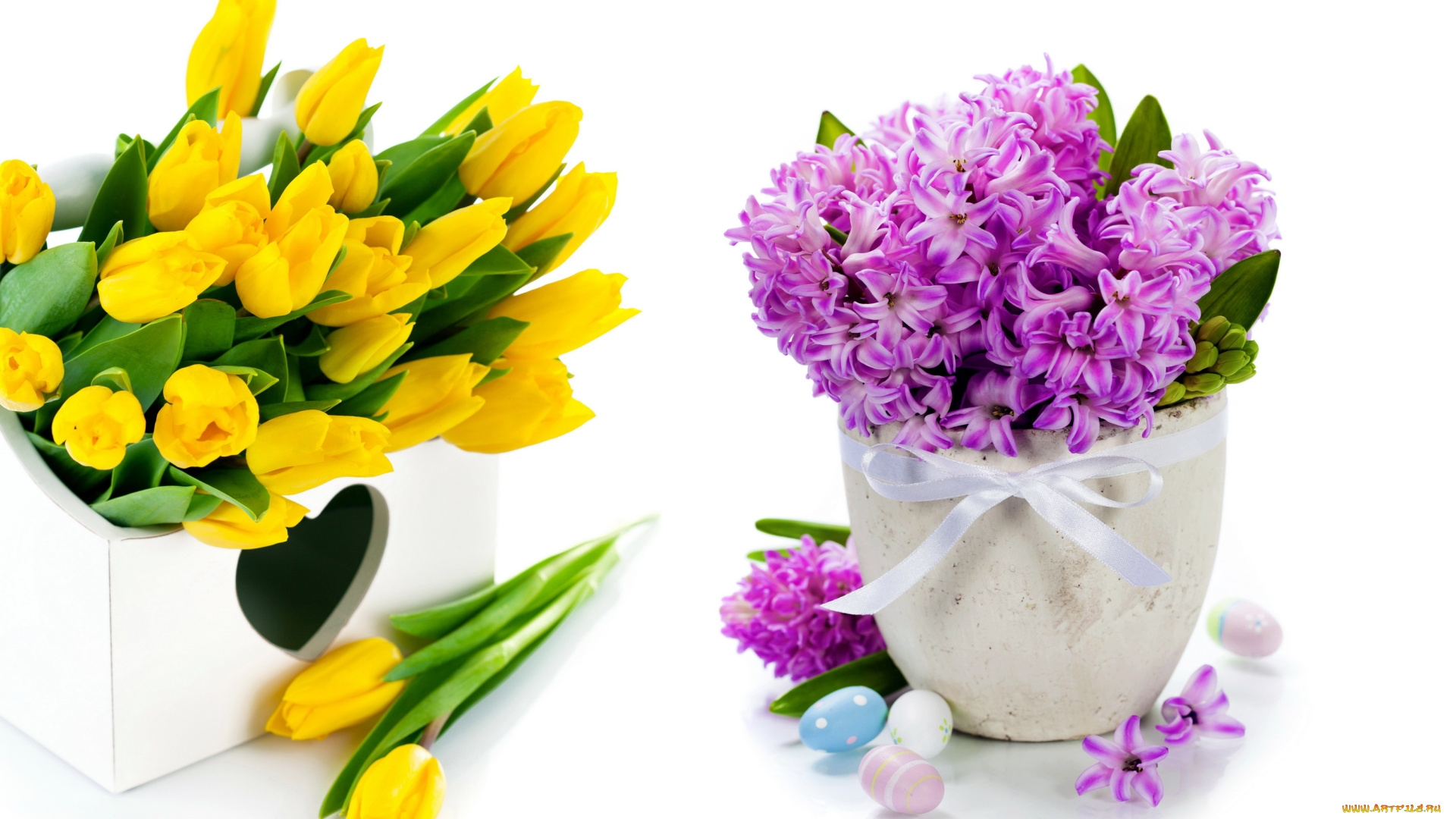 цветы, разные, вместе, гиацинты, тюльпаны