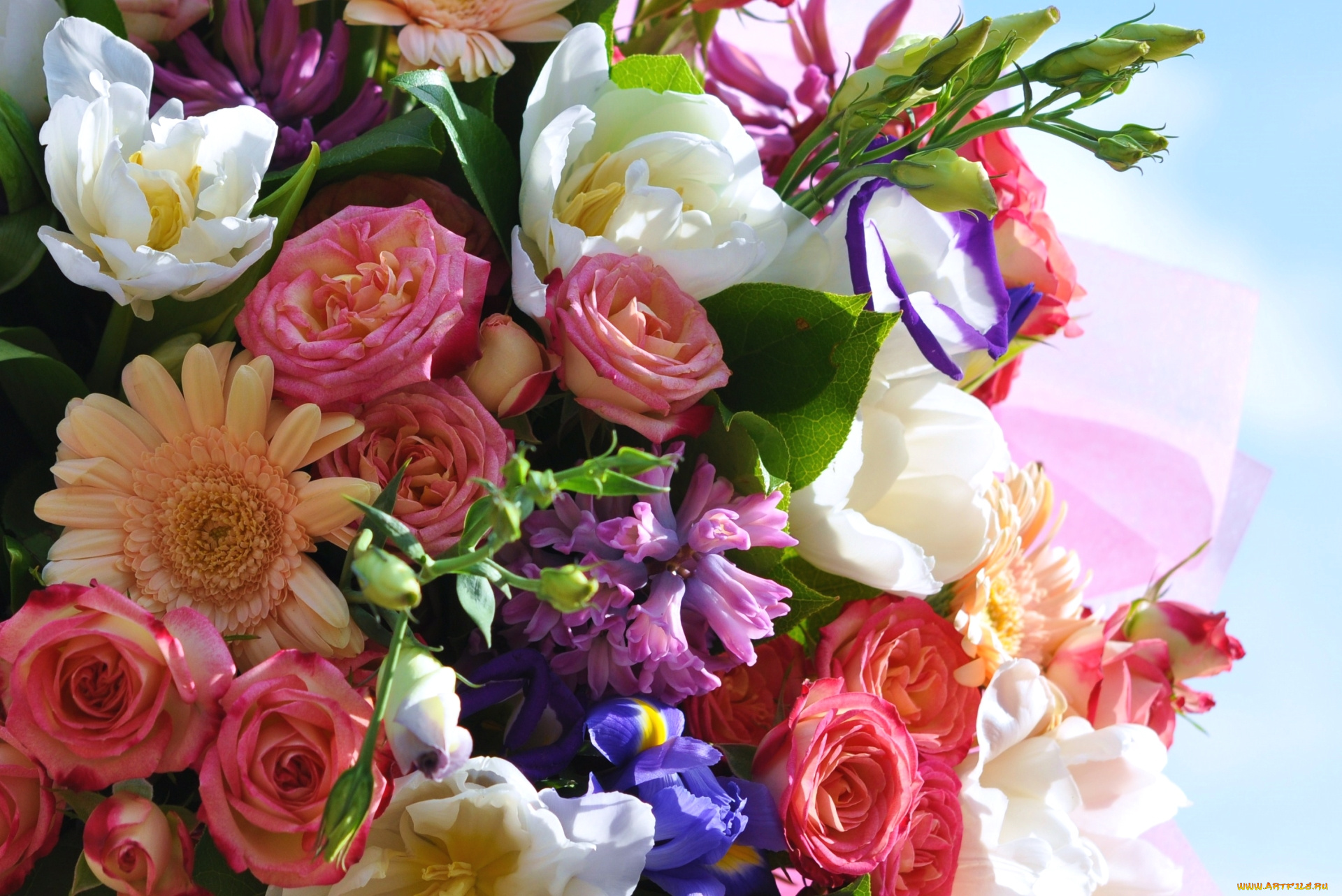 цветы, букеты, , композиции, эустома, тюльпаны, розы, гиацинты