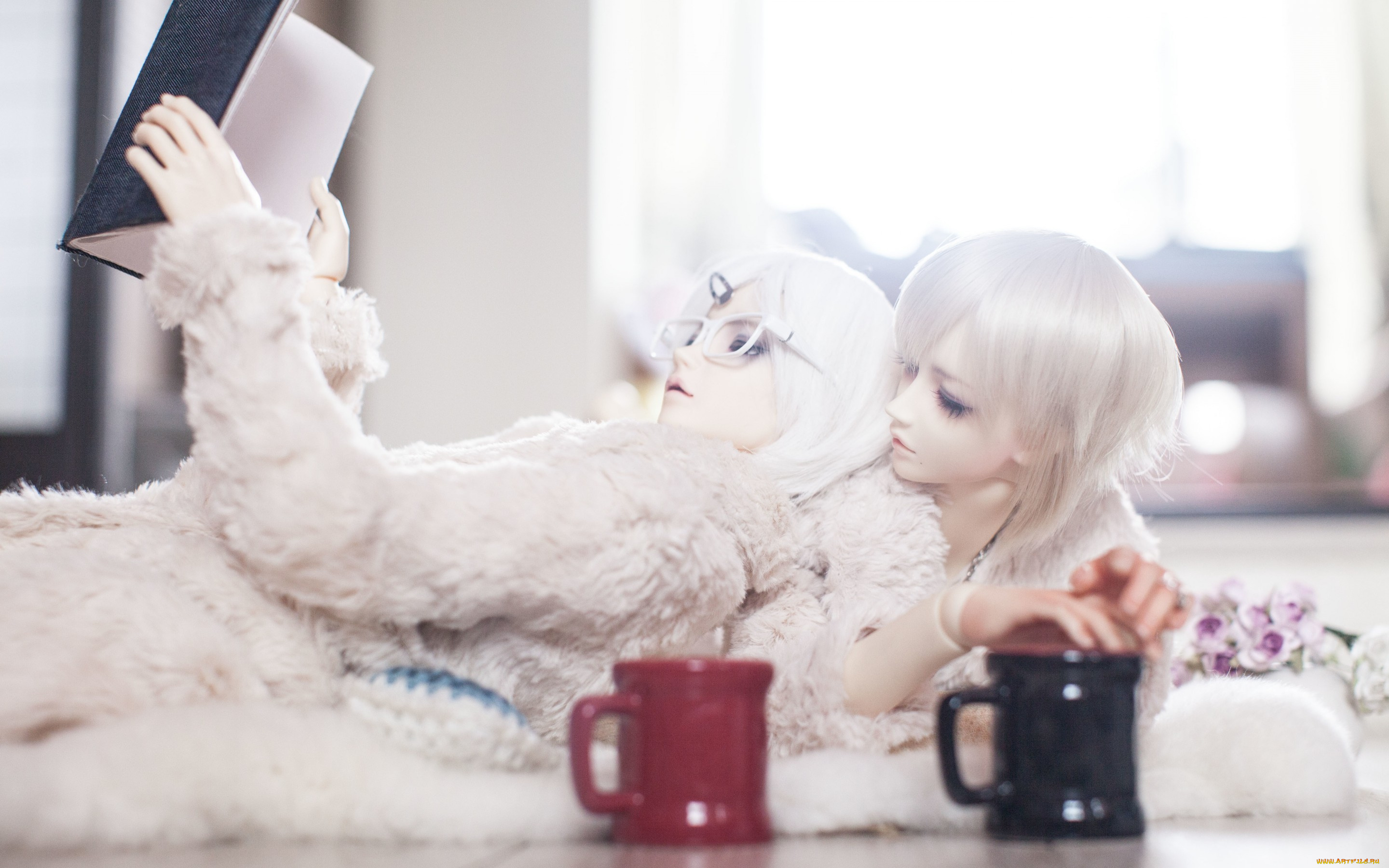 разное, игрушки, bjd, doll, парни, белые, волосы, книга, чашка, чашки, цветы, очки