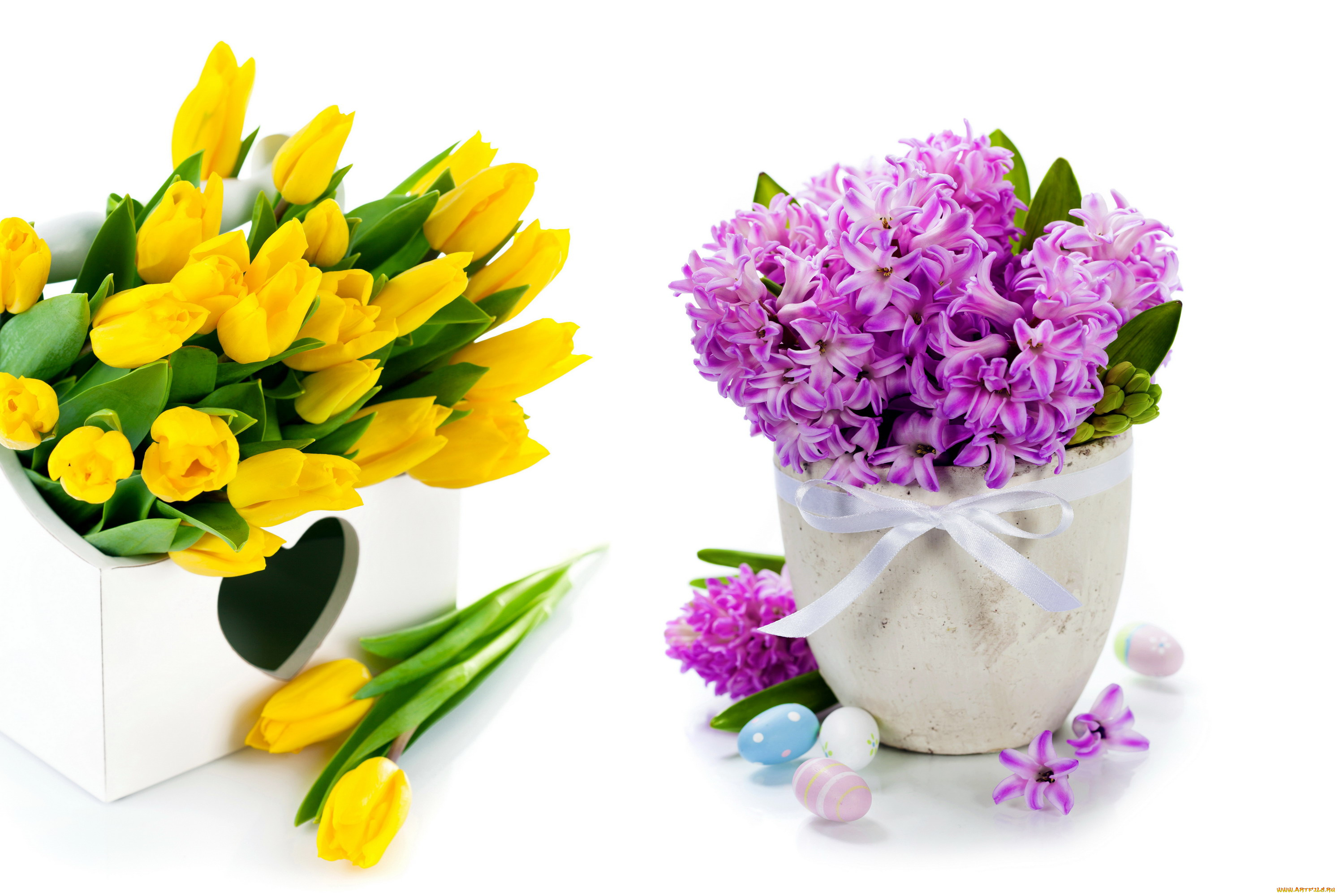 цветы, разные, вместе, гиацинты, тюльпаны