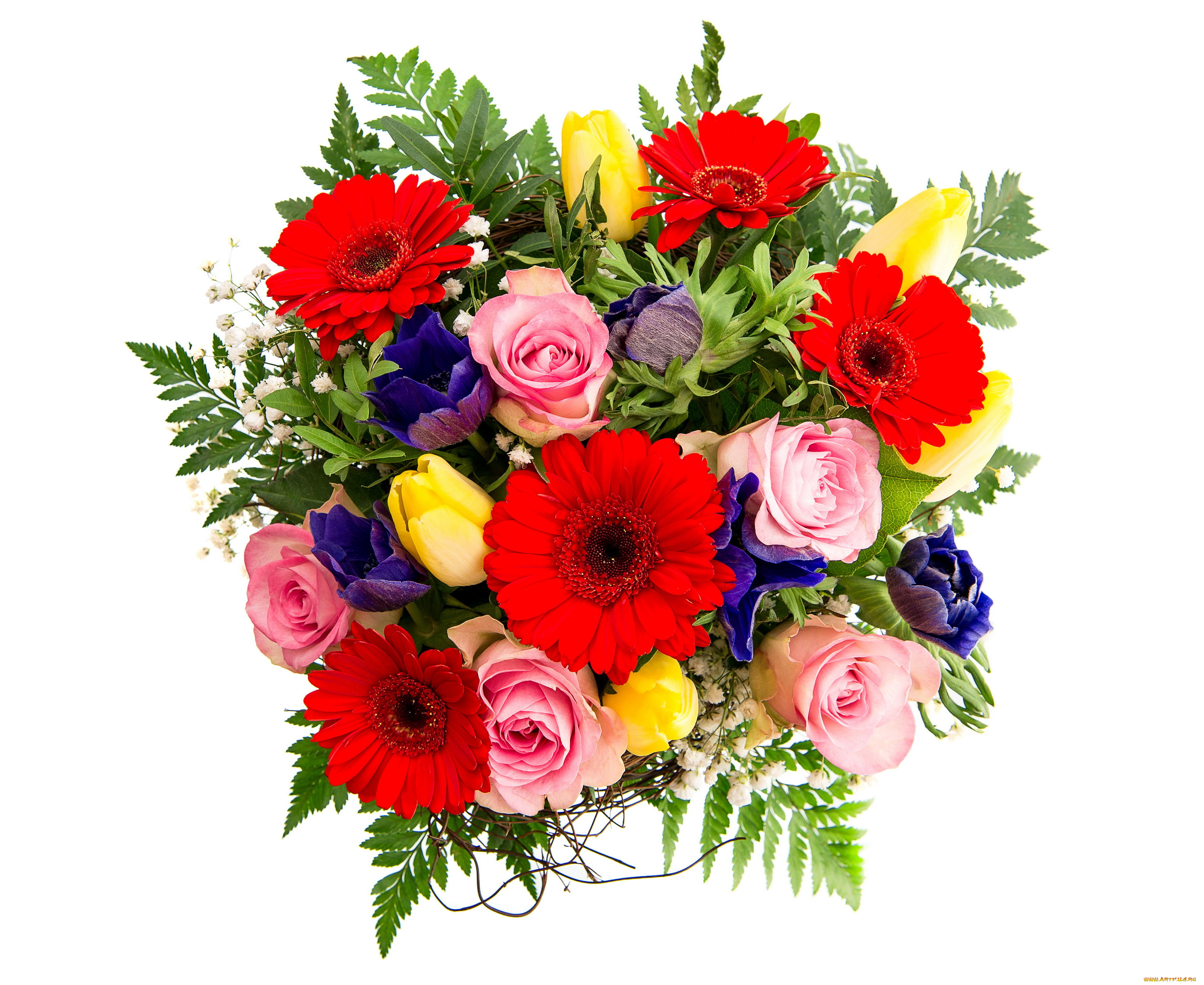 цветы, букеты, , композиции, тюльпаны, анемоны, герберы, розы