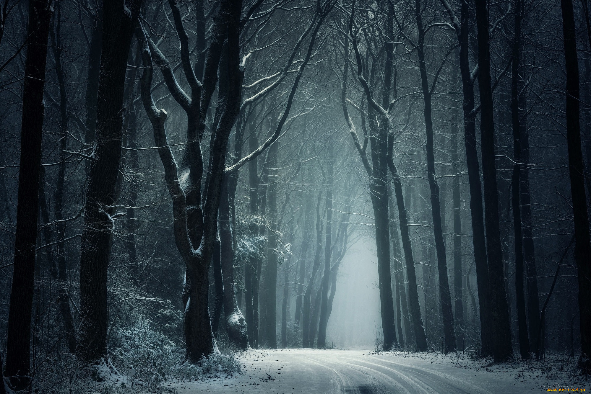 природа, дороги, снег, деревья, дорога, зима