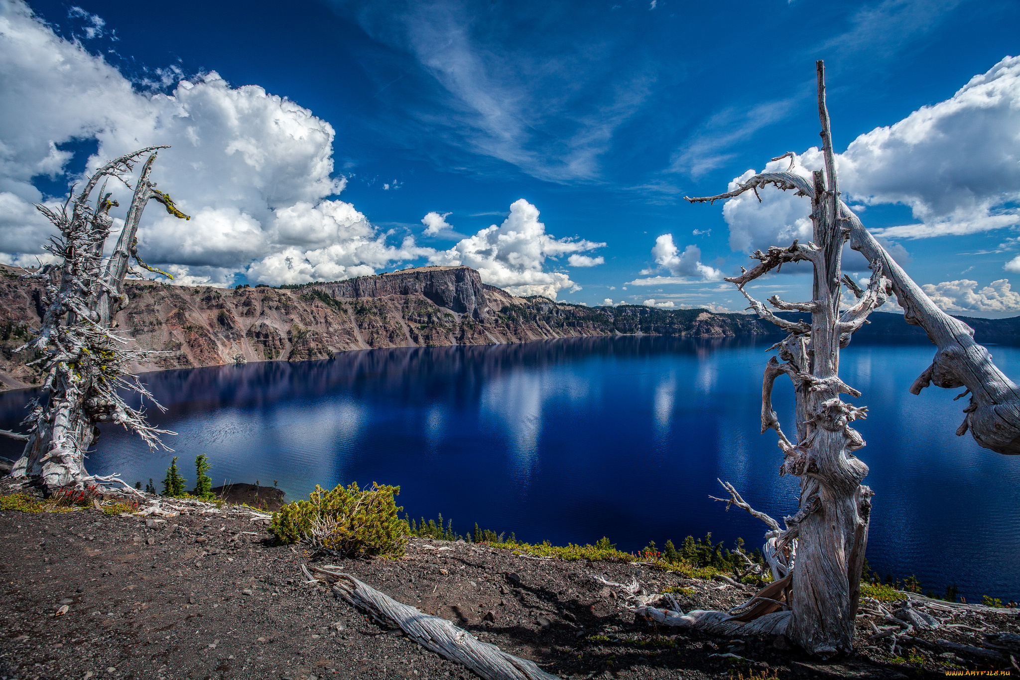 природа, побережье, море, берег