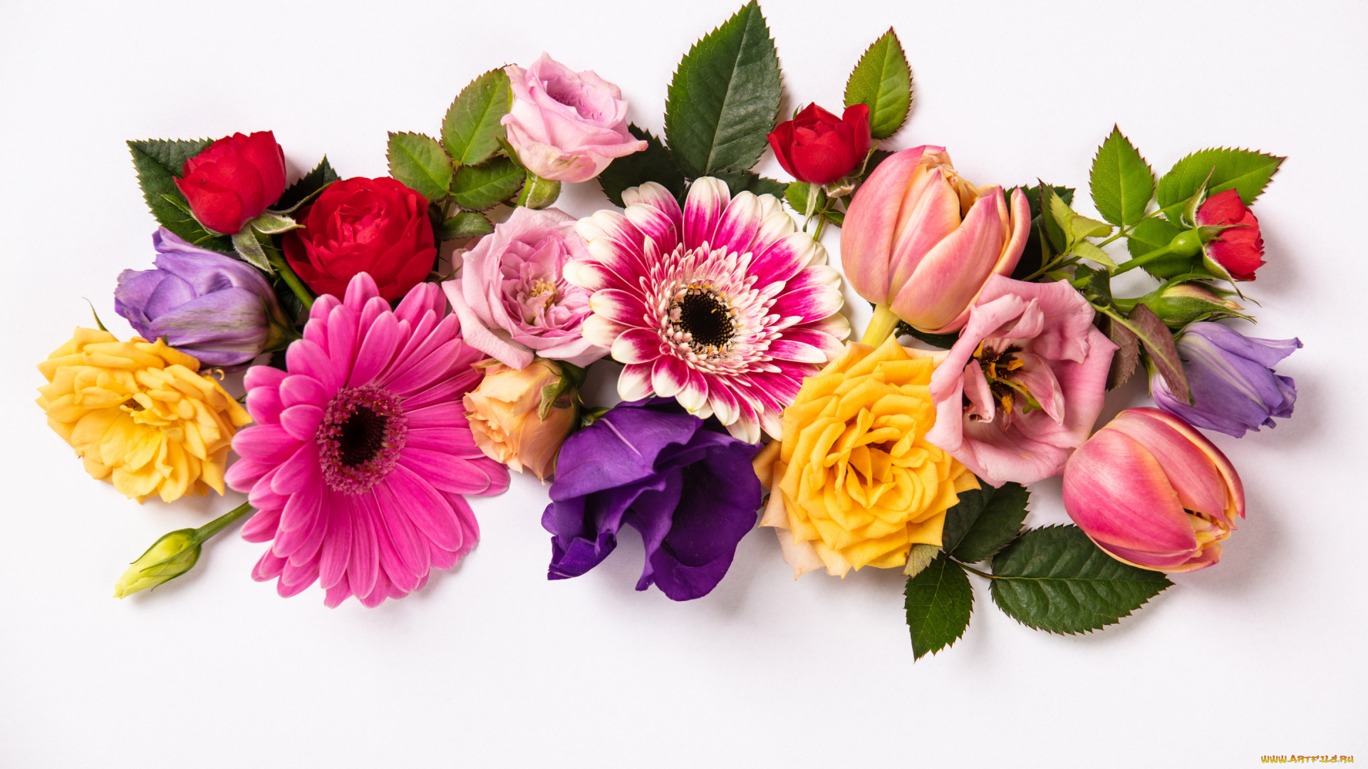 цветы, разные, вместе, colorful, flowers, composition, floral