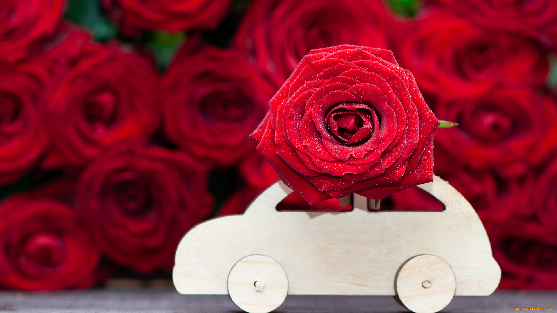 цветы, розы, машина, букет, красные, деревянная