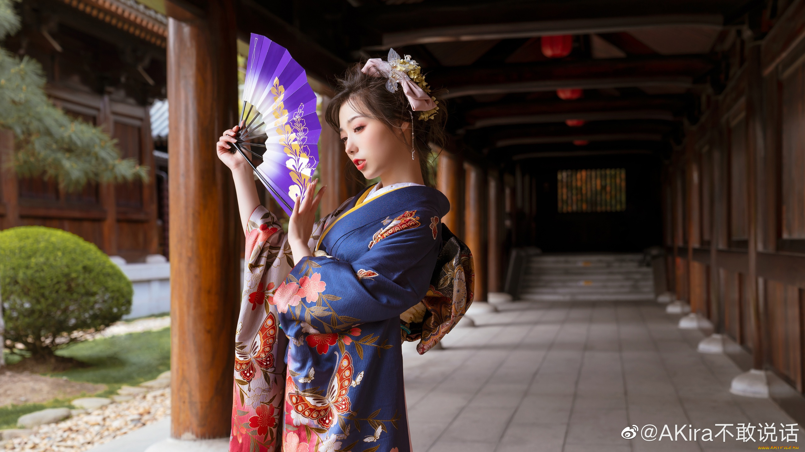 девушки, -, азиатки, веер, кимоно, галерея, колонны