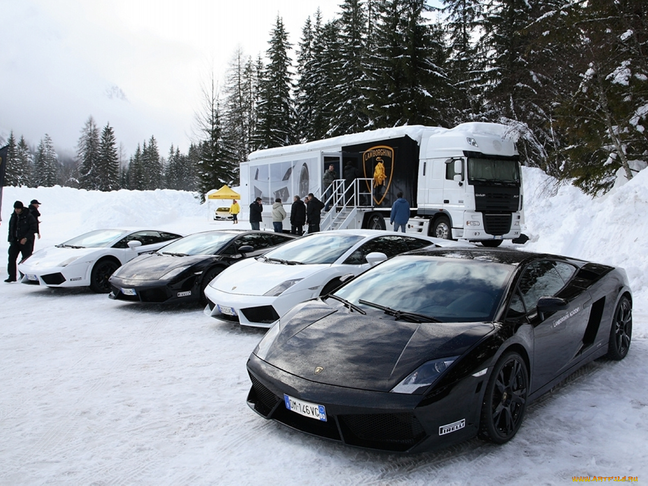 автомобили, lamborghini