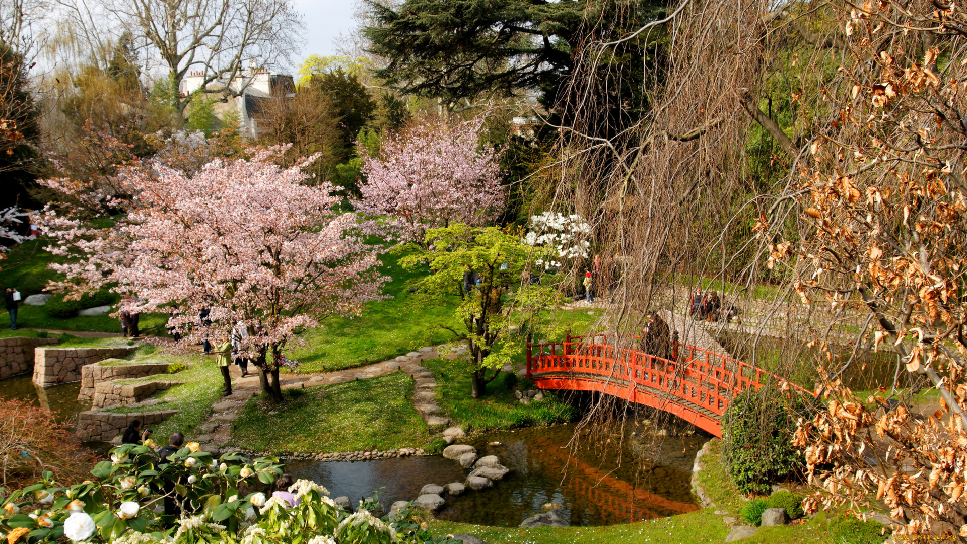 Японский, сад, альберта, кана, франция, природа, парк, s