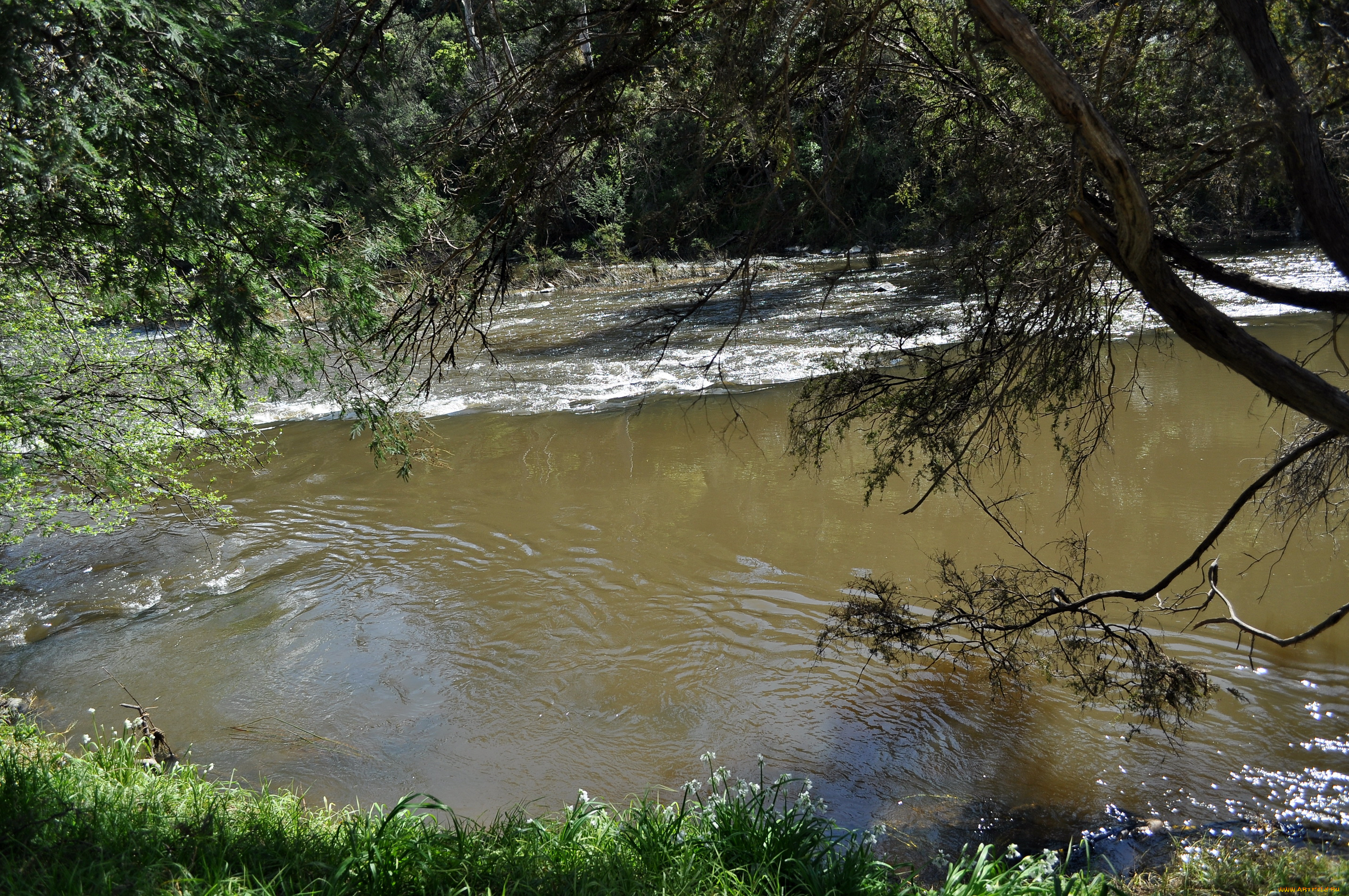 природа, реки, озера, yarra, river