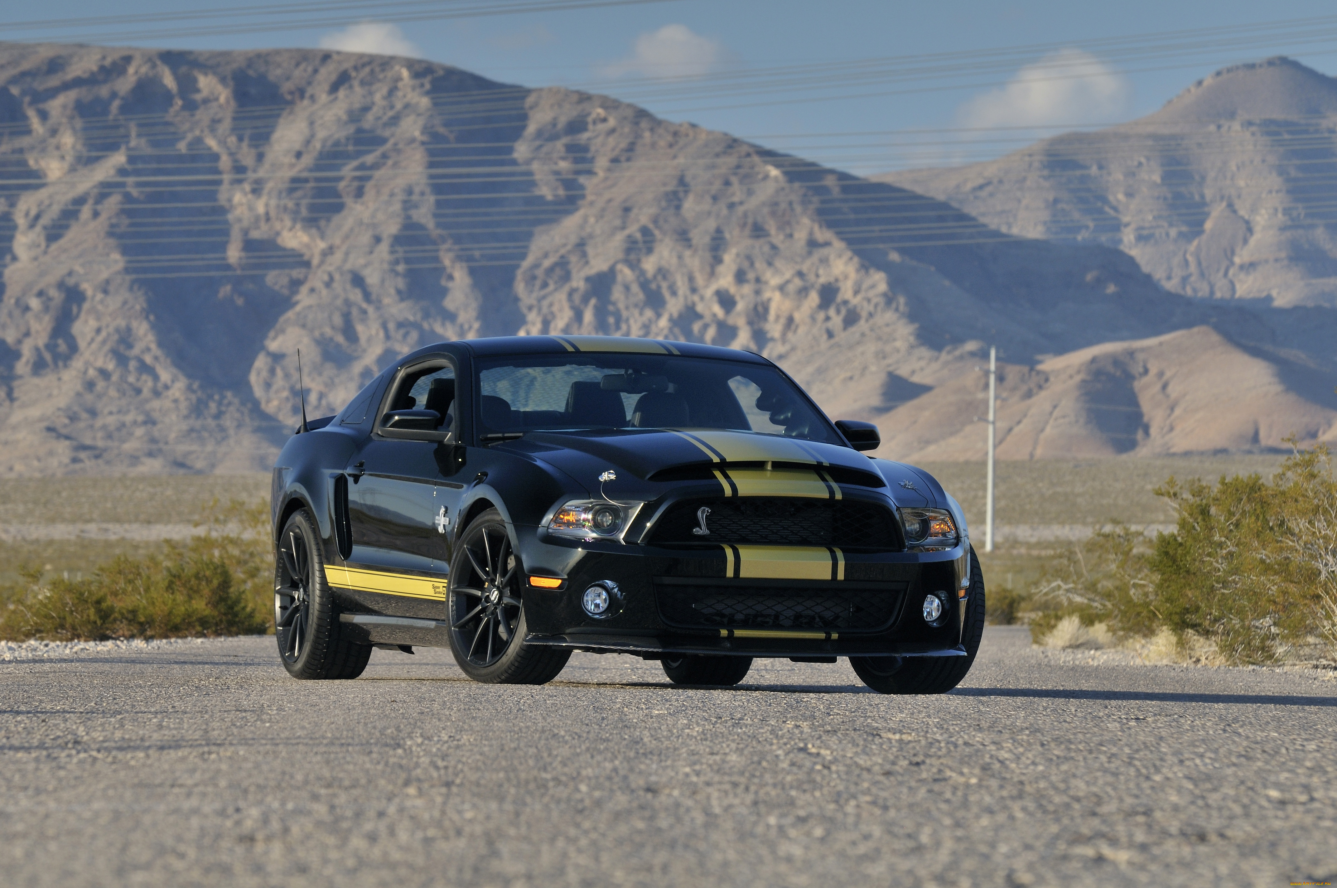 Shelby gt500 super snake 2013