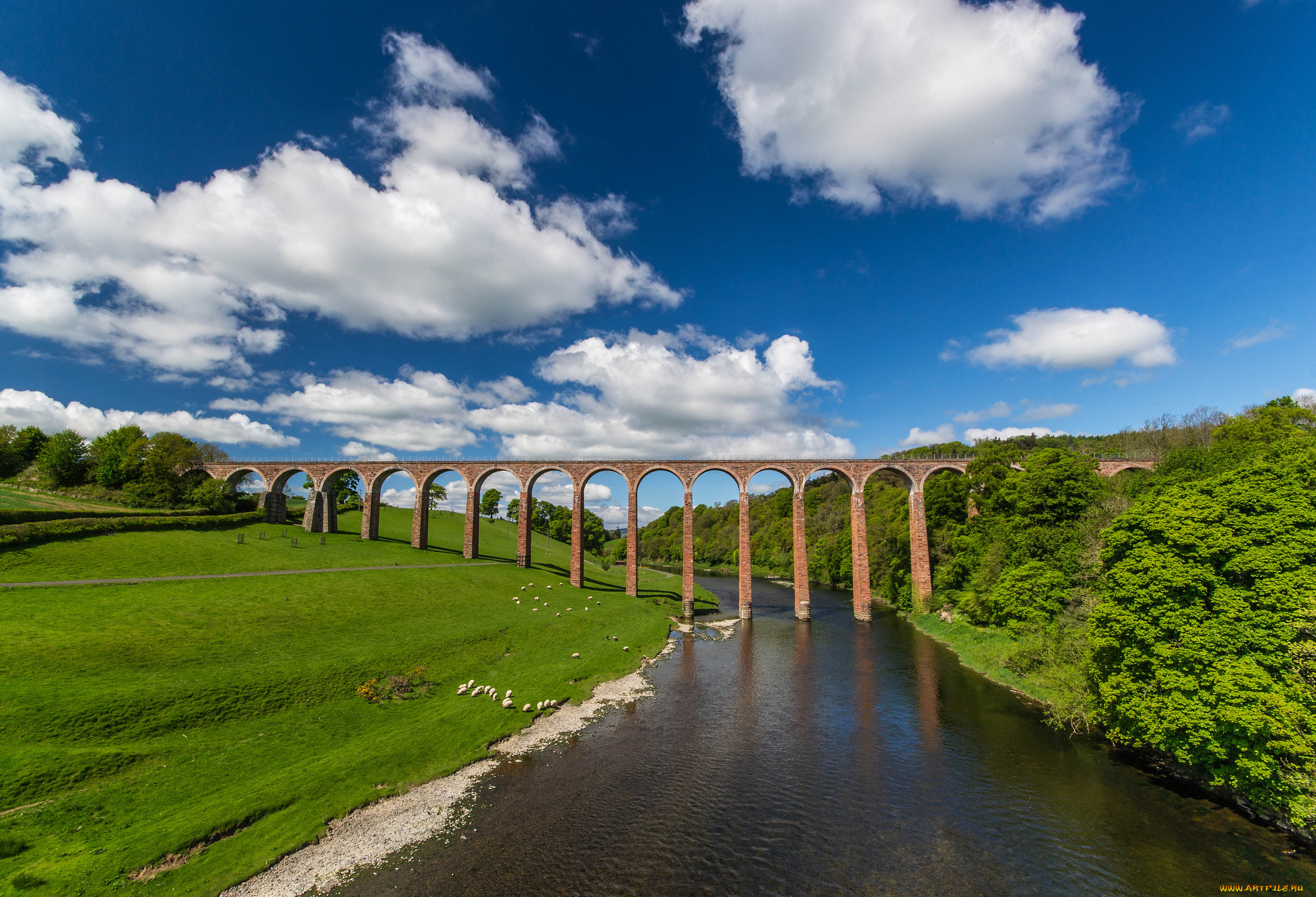 leaderfoot, viaduct, scotland, природа, реки, озера, виадук, шотландия, река, твид, river, tweed, мост, луг