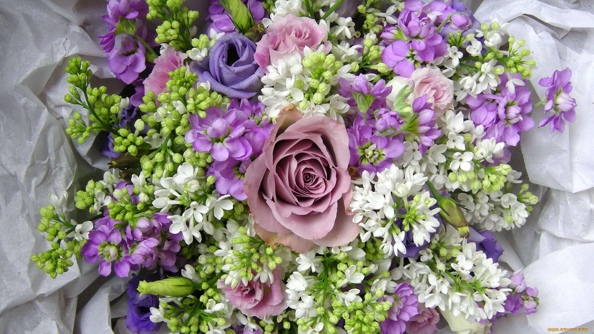 букет сирень bouquet lilac загрузить