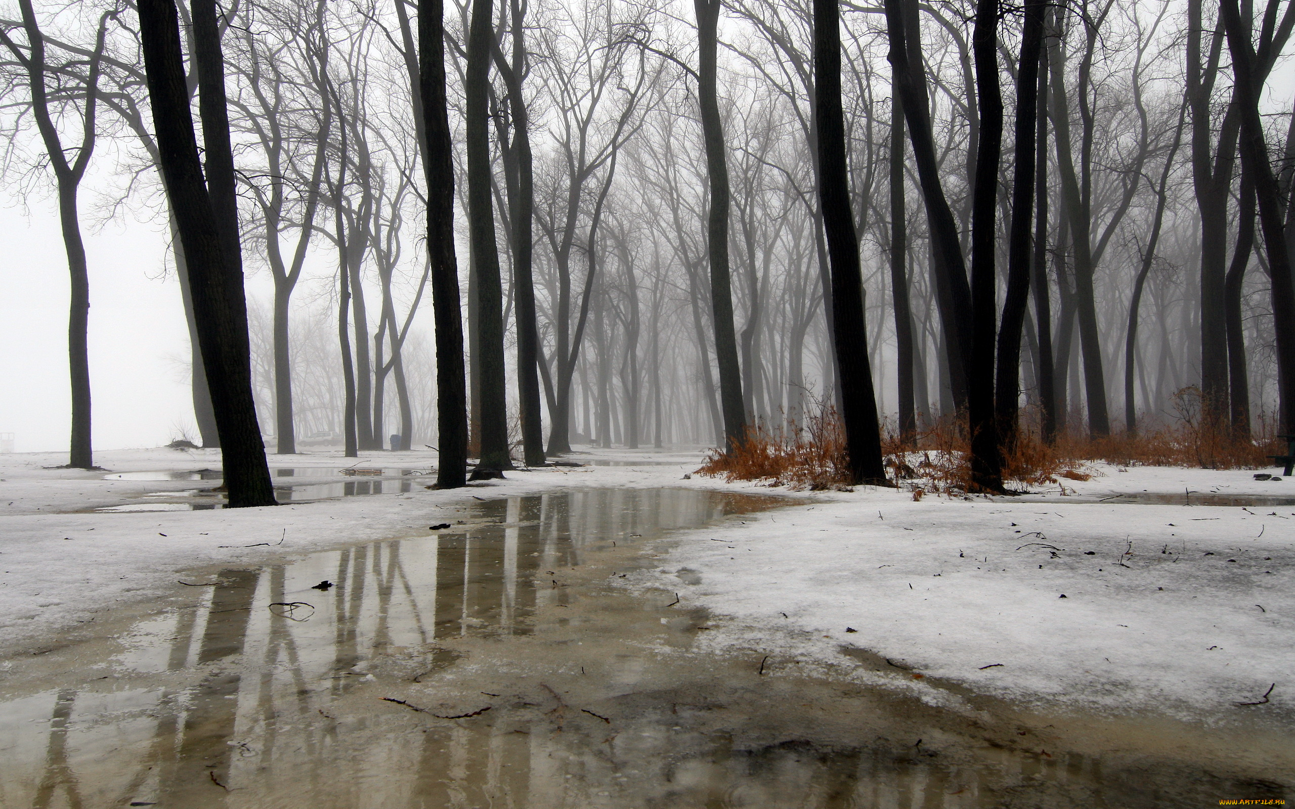 природа, зима, ice, snow, wintermission, rain, water, fog