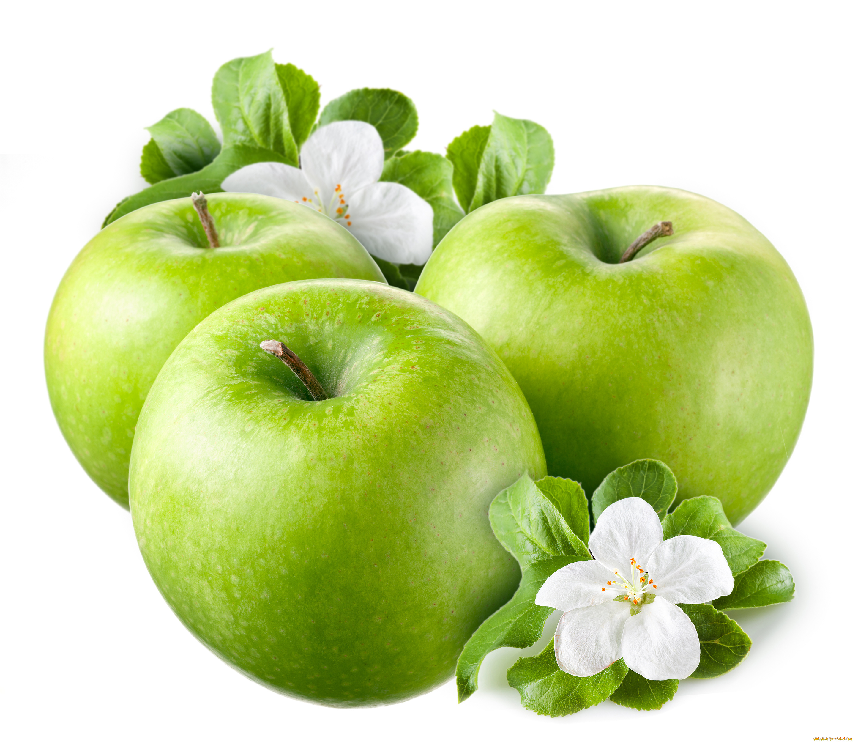 еда, Яблоки, плоды