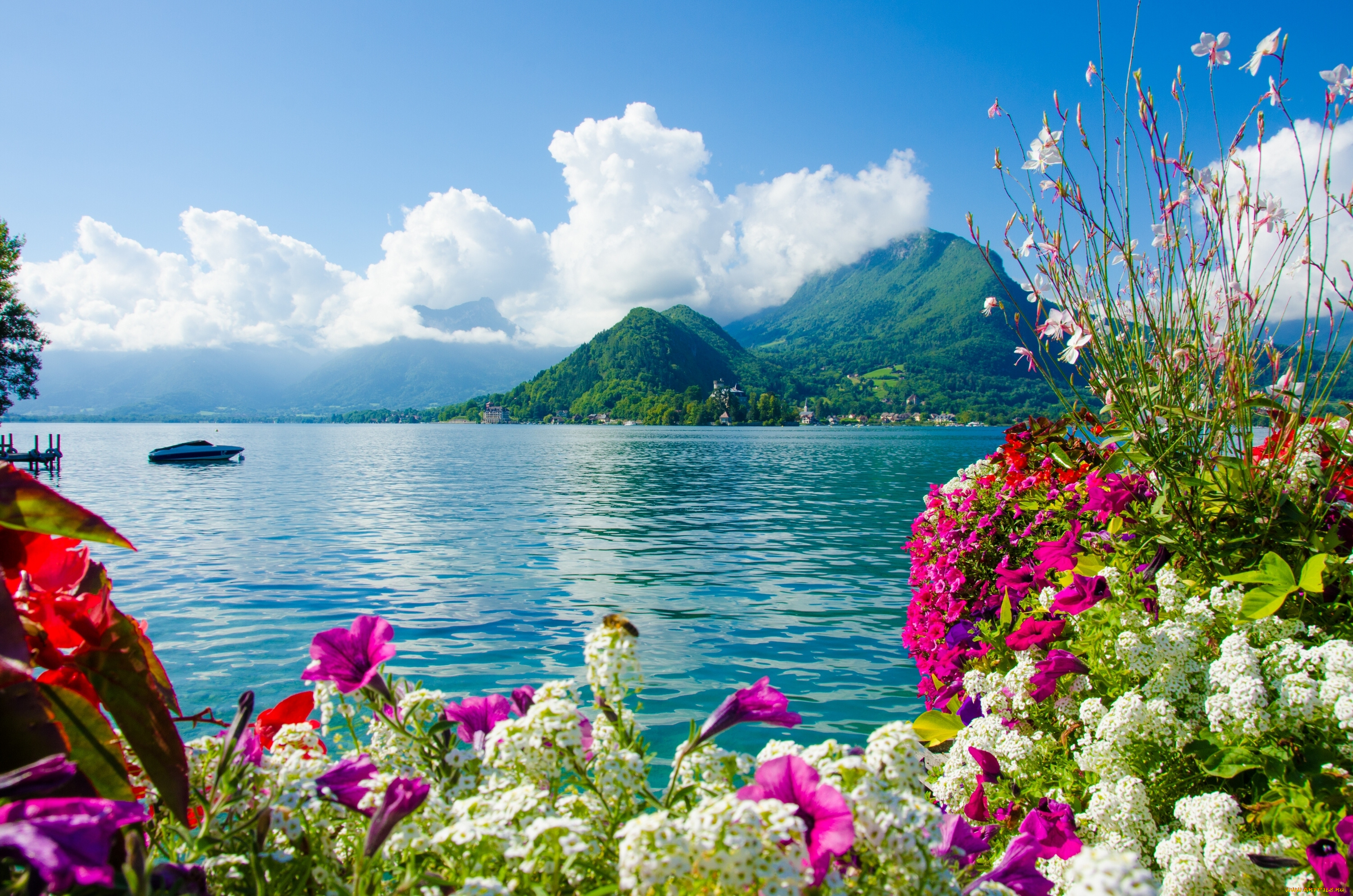 lake, annecy, , france, природа, реки, озера, пейзаж, цветы, горы, france, lake, annecy, франция, озеро, анси